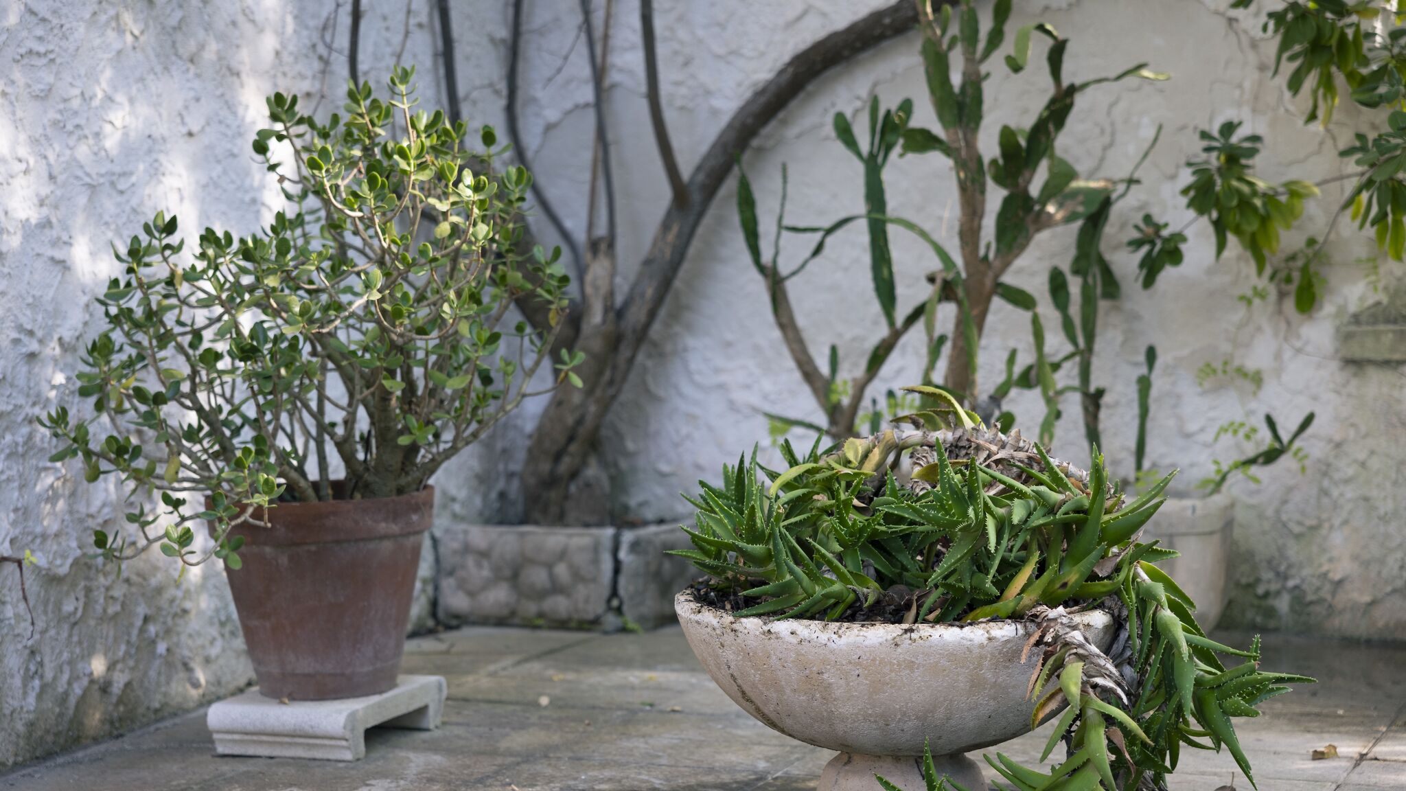 Italianway Gallipoli Residenza delle Acacie - Le case di Valentina