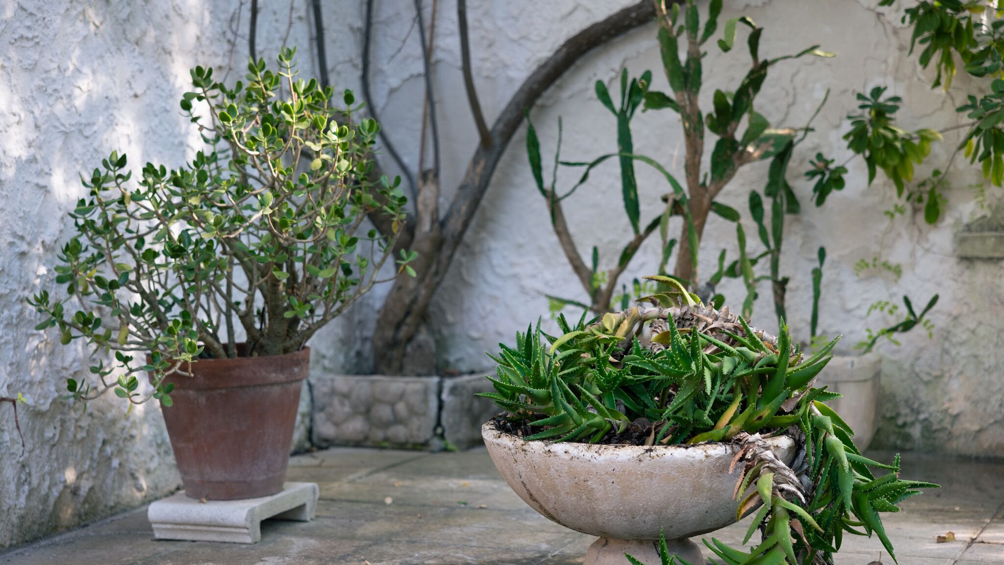 Italianway Gallipoli Residenza delle Acacie - Le case di Valentina