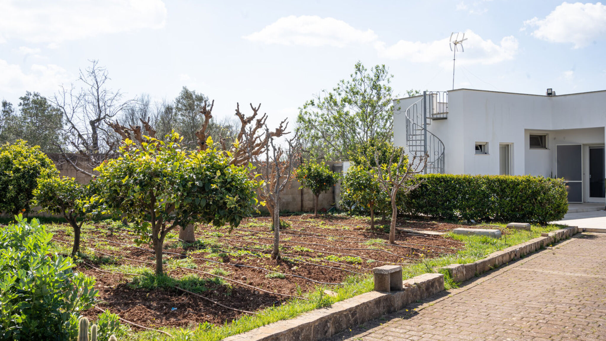 Italianway Ugento Villetta Don Cirillo - Salento Reservation