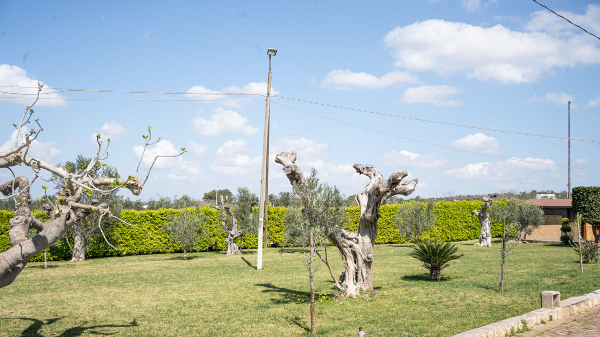 Italianway Ugento Villetta Don Cirillo - Salento Reservation