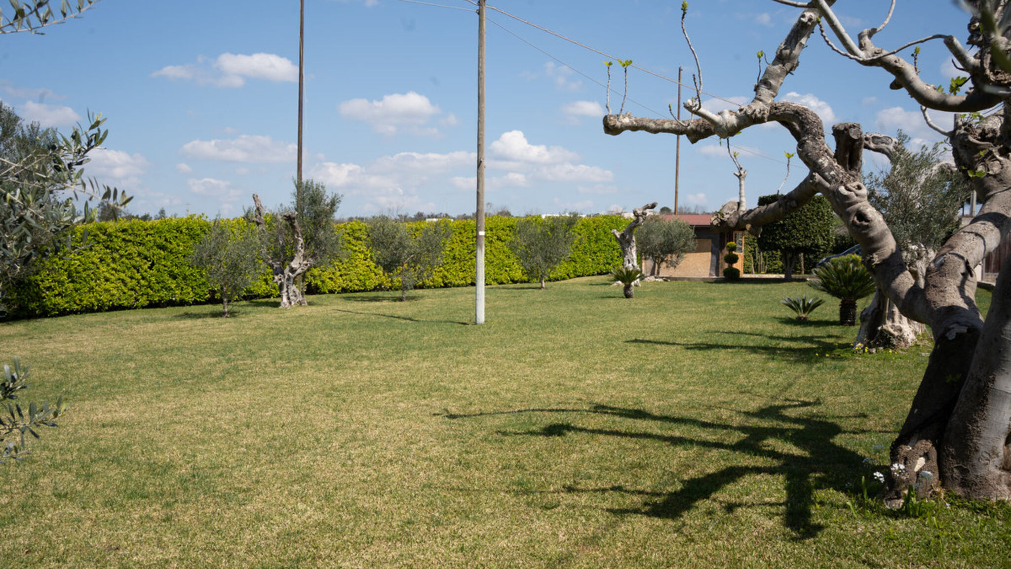 Italianway Ugento Villetta Don Cirillo - Salento Reservation