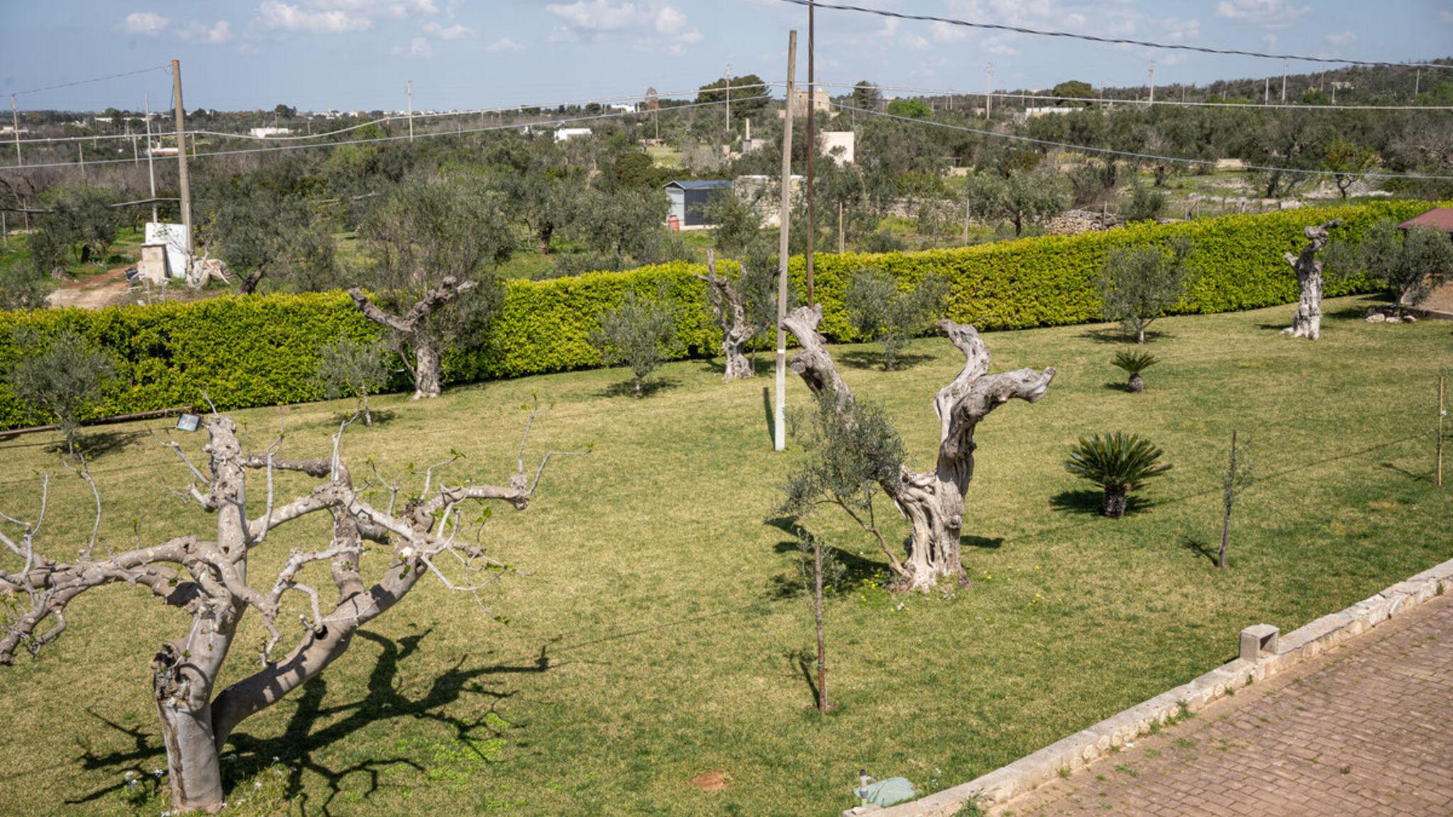 Italianway Ugento Villetta Don Cirillo - Salento Reservation