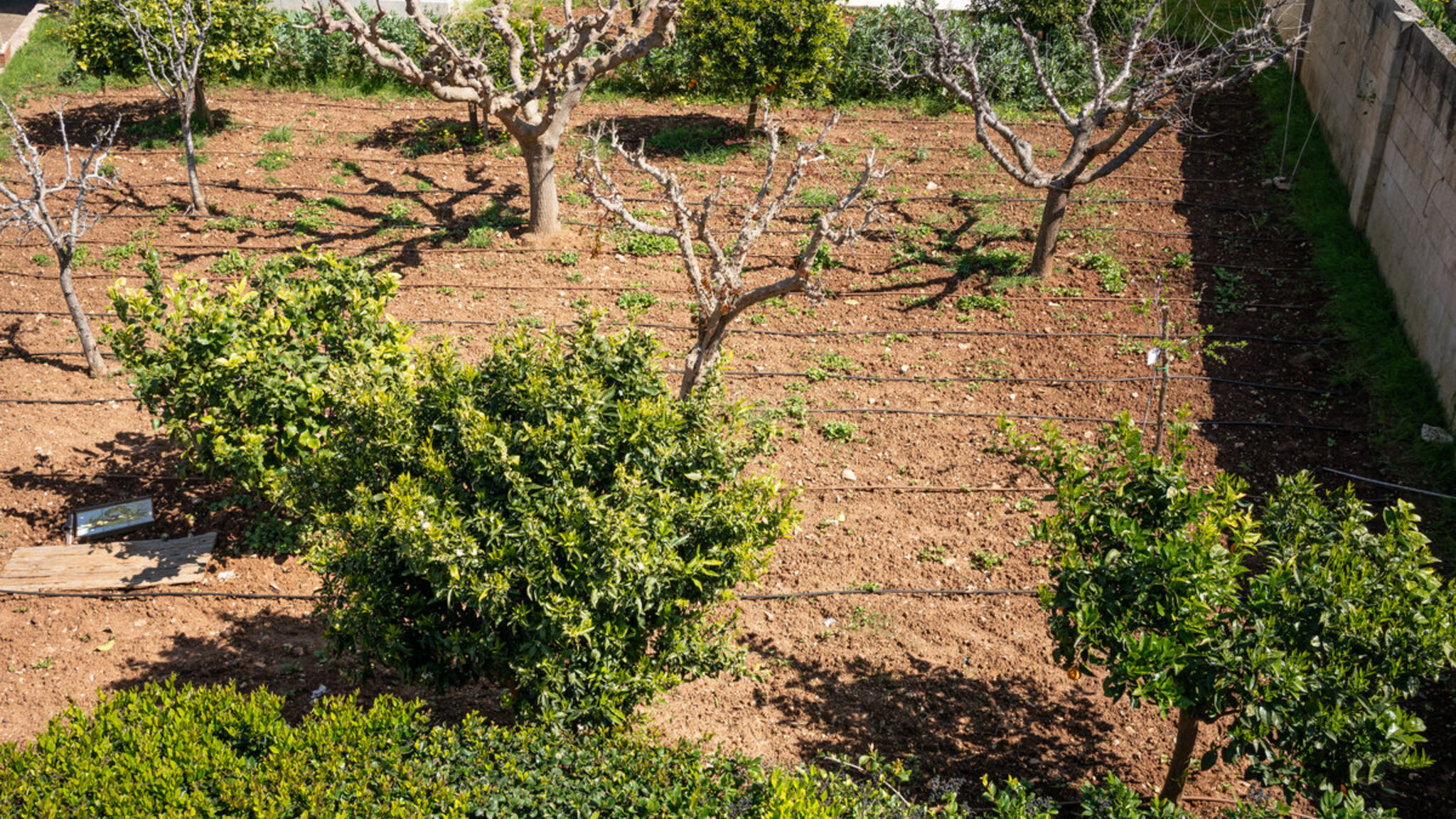 Italianway Ugento Villetta Don Cirillo - Salento Reservation