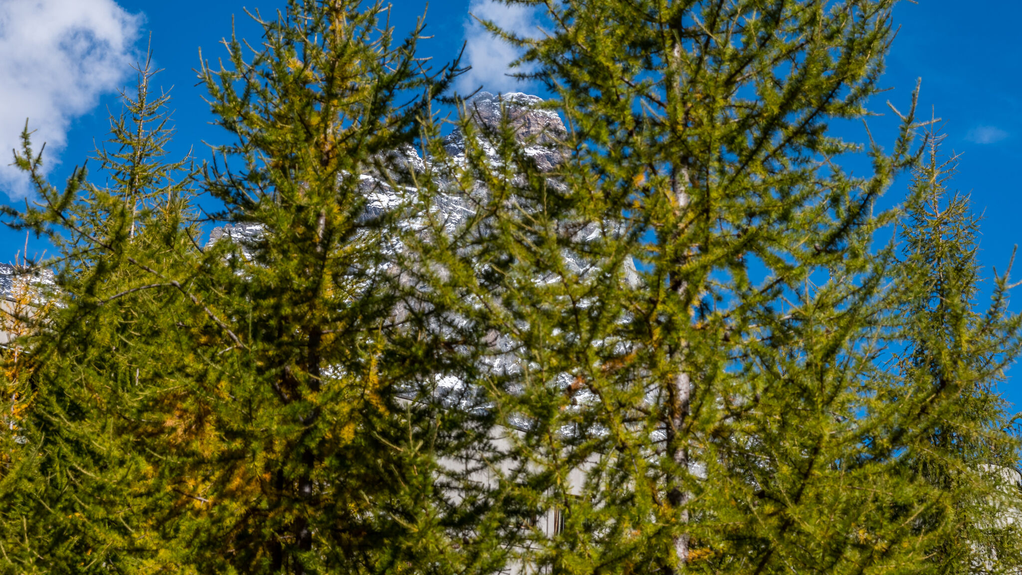 Italianway Valtournenche Le Bois du Cervin – Panoramic Ski-In Ski-Out 