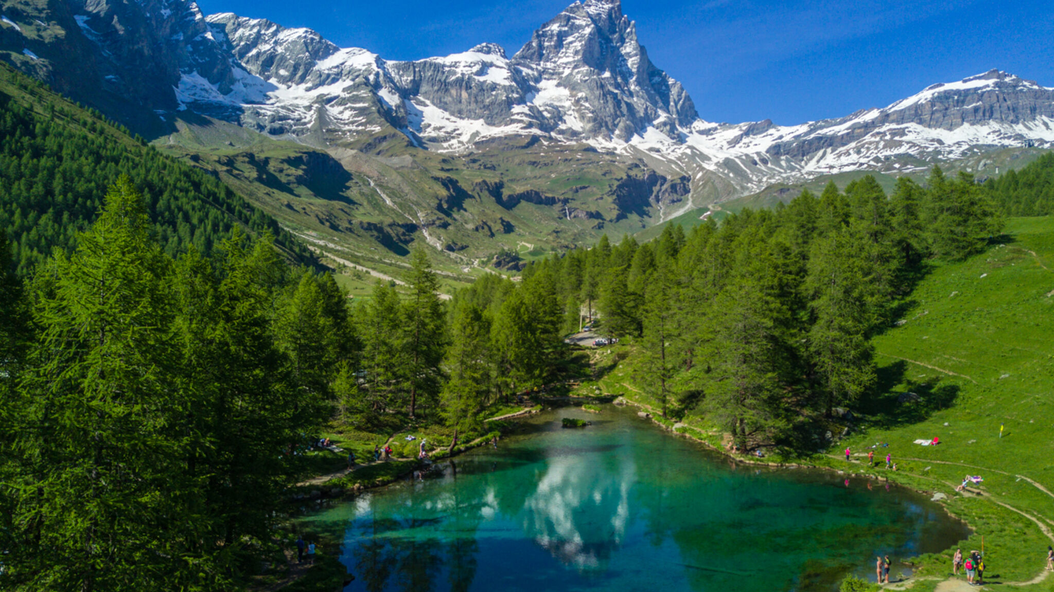 Italianway Valtournenche Le Bois du Cervin – Panoramic Ski-In Ski-Out 