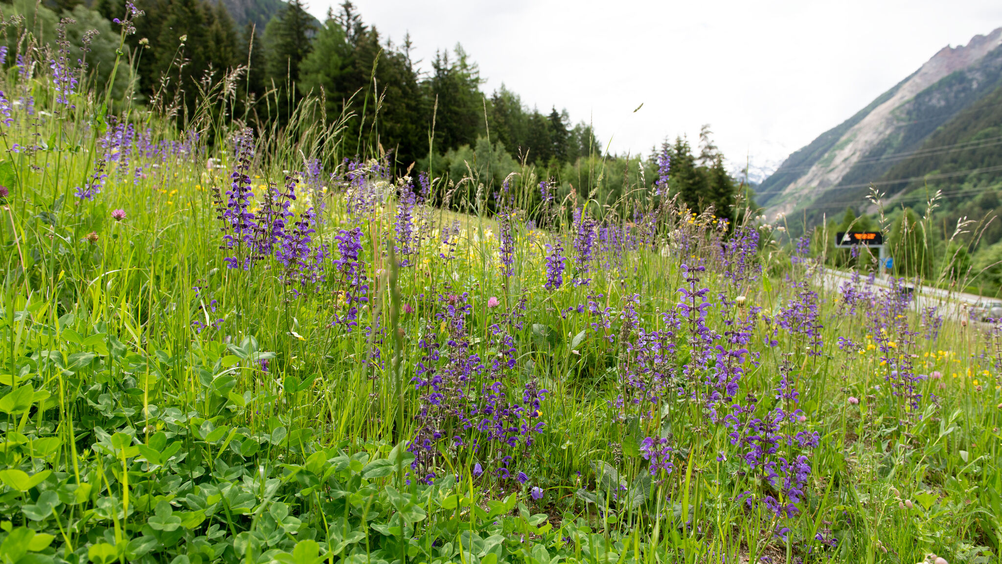 Italianway Valdisotto Villa Tola - Arancio