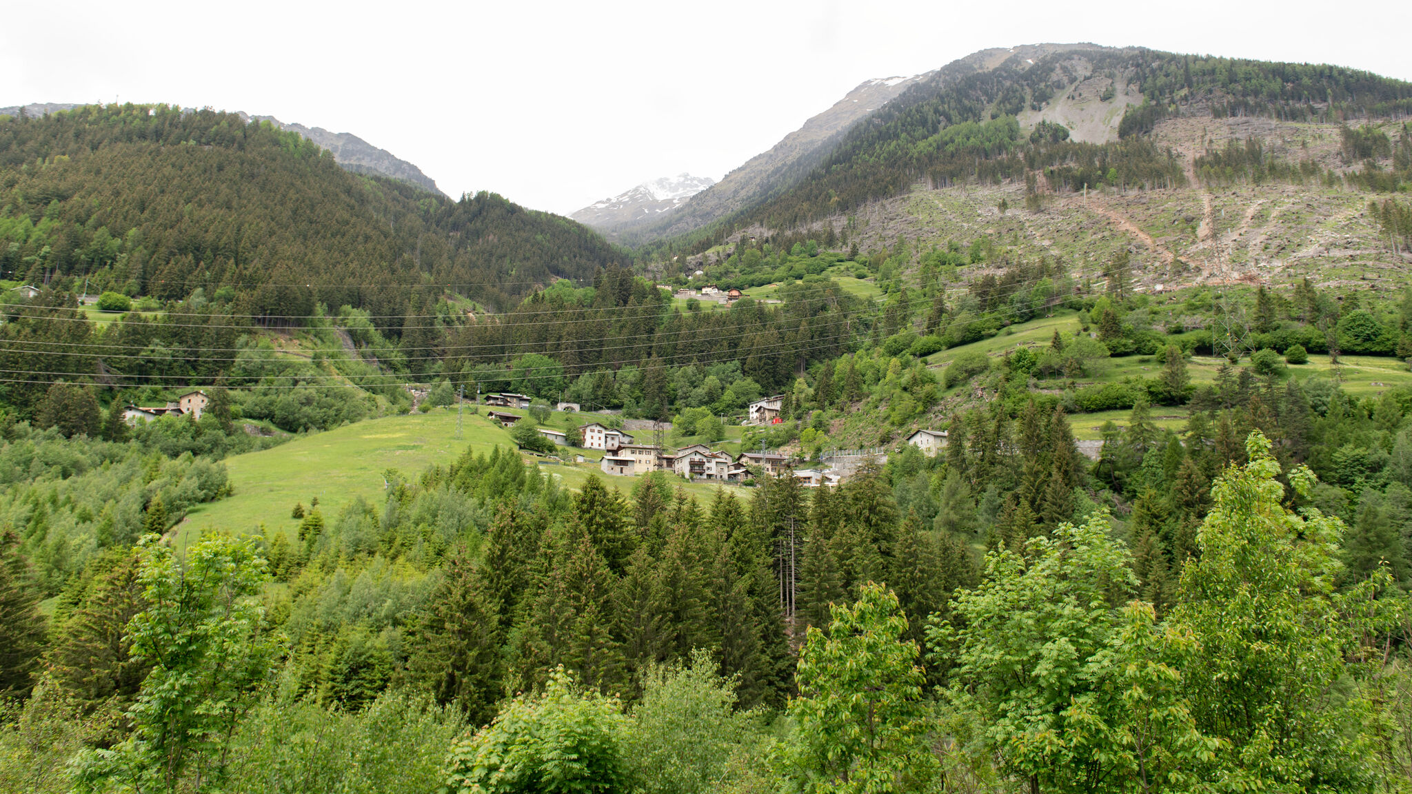 Italianway Valdisotto Villa Tola - Arancio