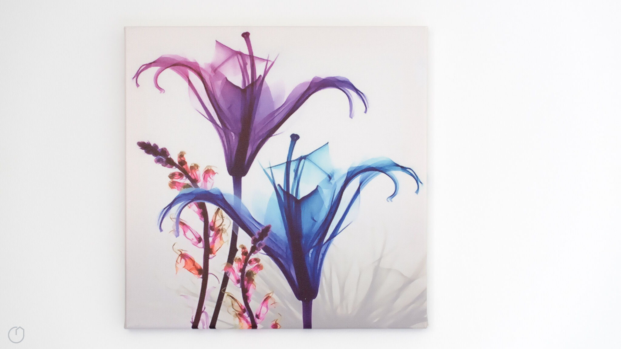 Italianway Valdisotto Villa Tola - Blu