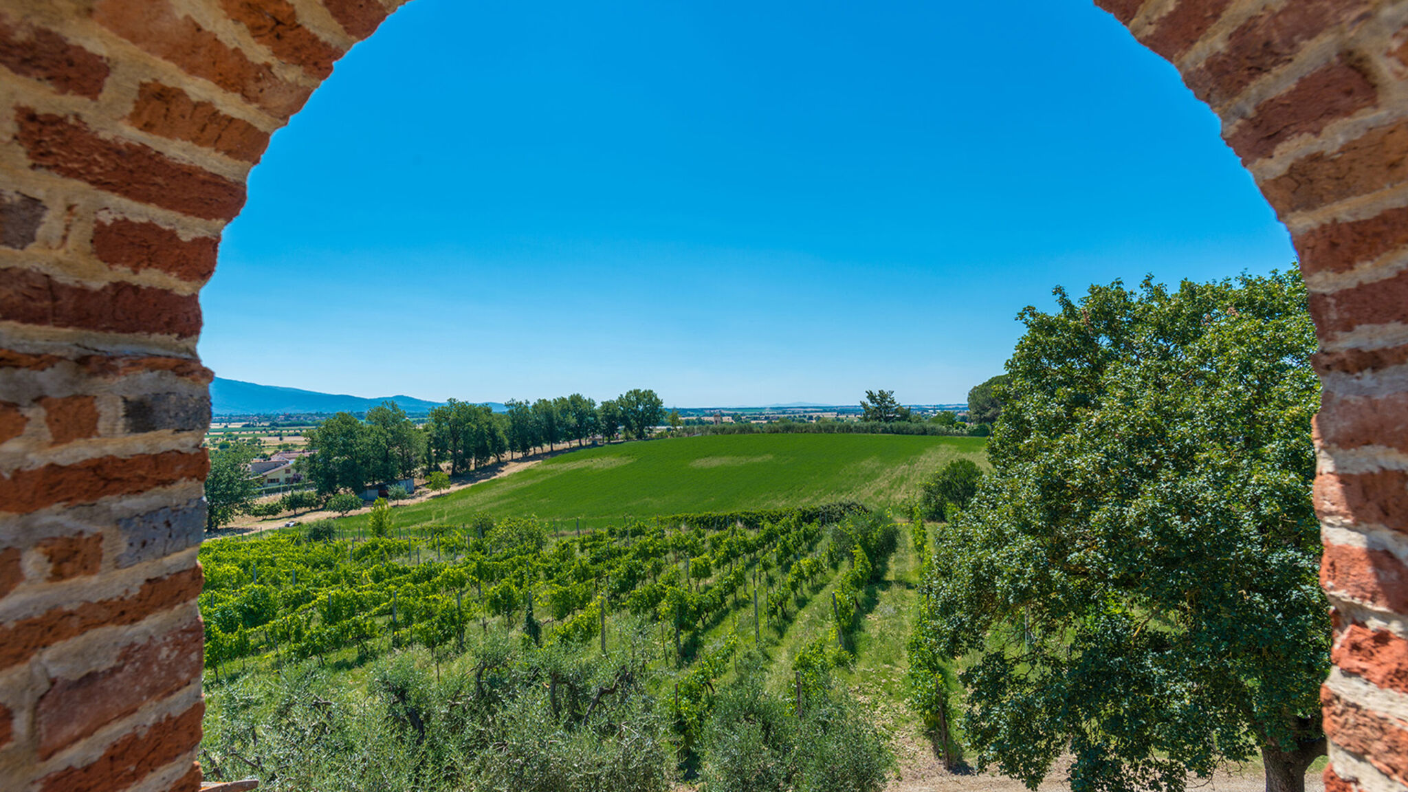 Italianway Monte San Savino Villa Pucci 12