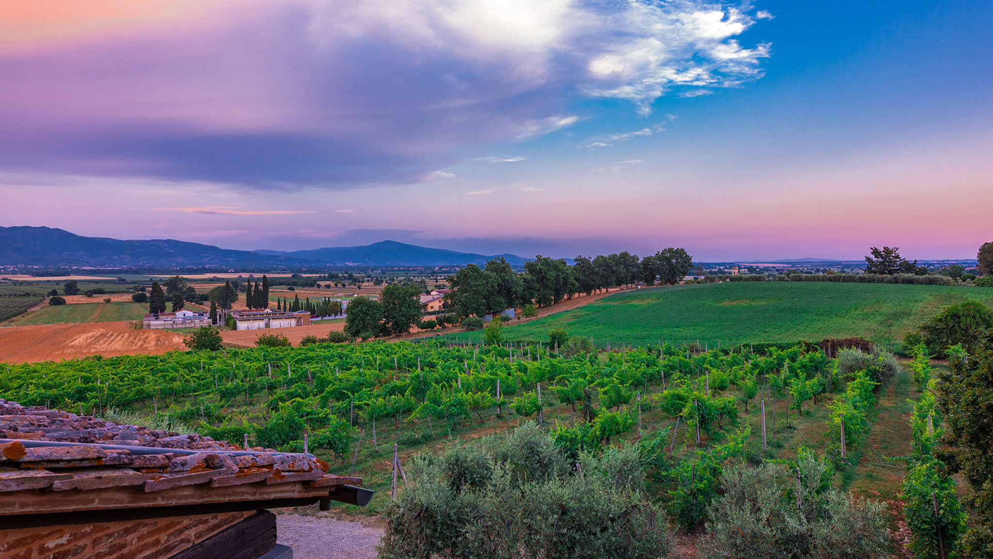 Italianway Monte San Savino Villa Pucci 12