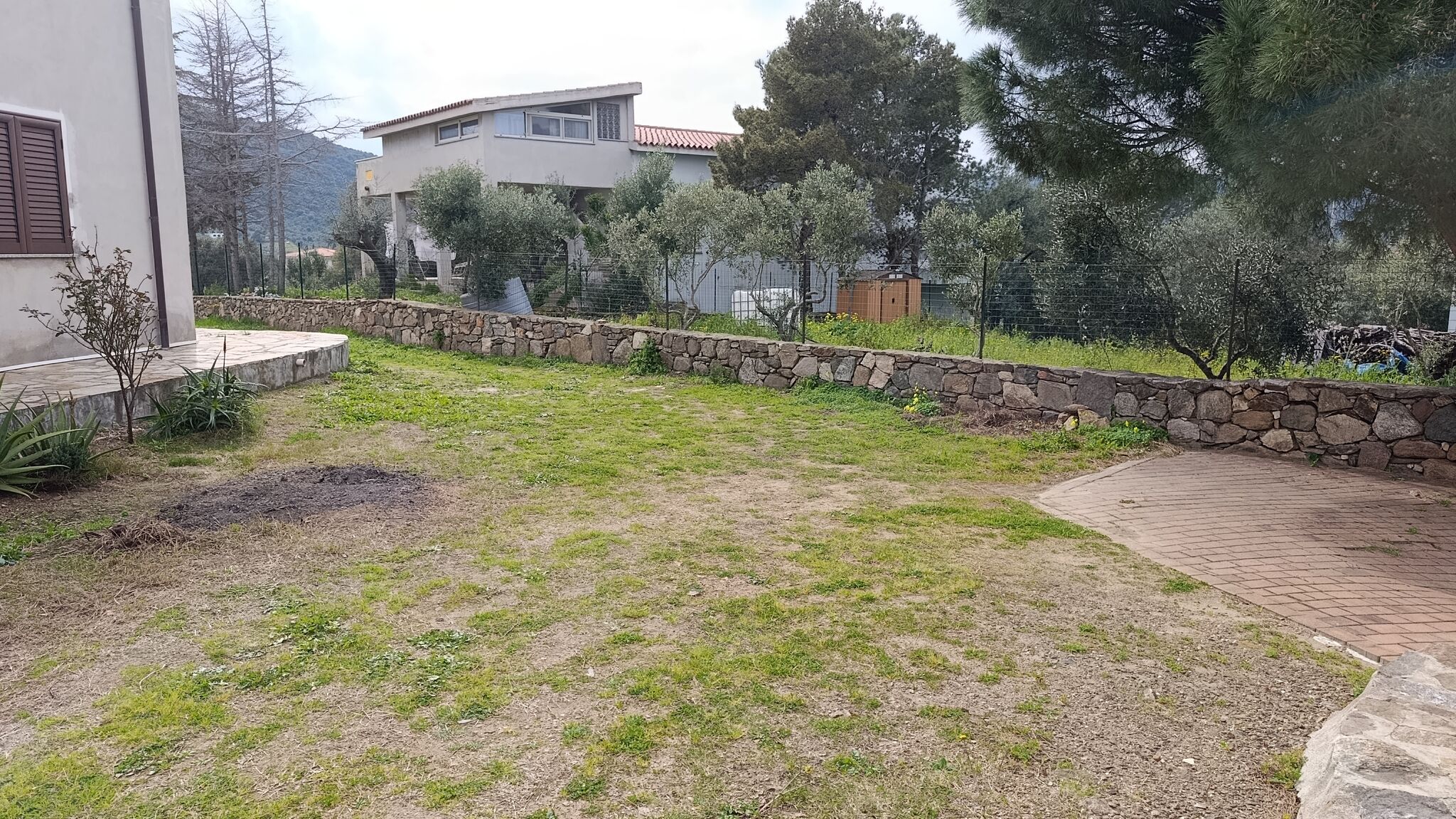 Italianway Budoni Pavoncella Gialla