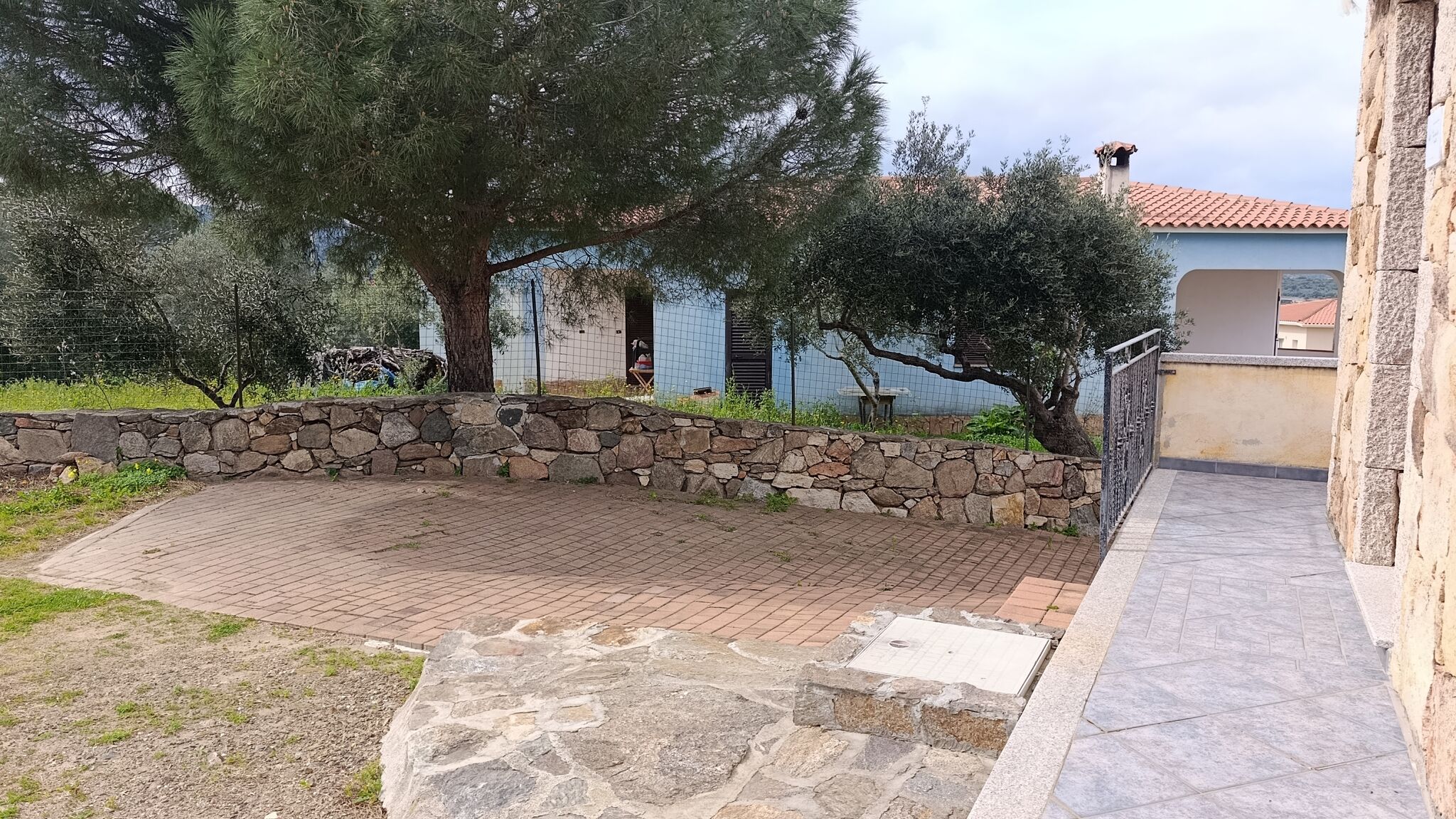 Italianway Budoni Pavoncella Gialla