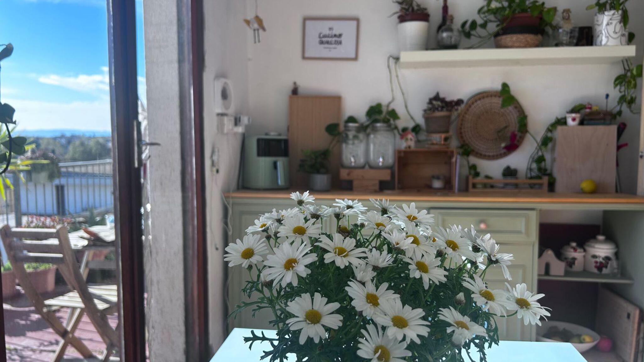 Italianway Pisa Moka Home