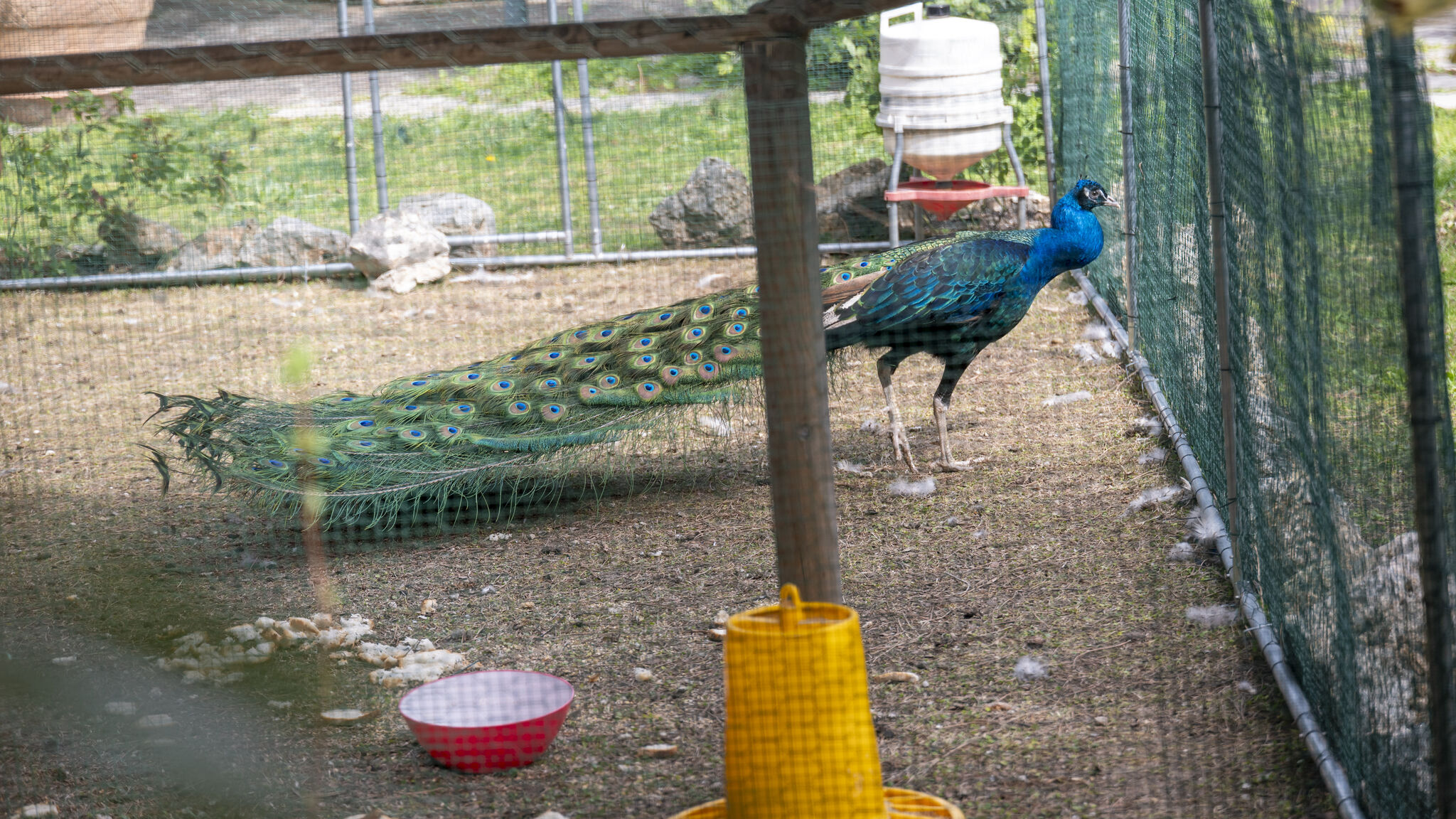 Italianway Ortona Villa Bonaccia - YourPlace Abruzzo