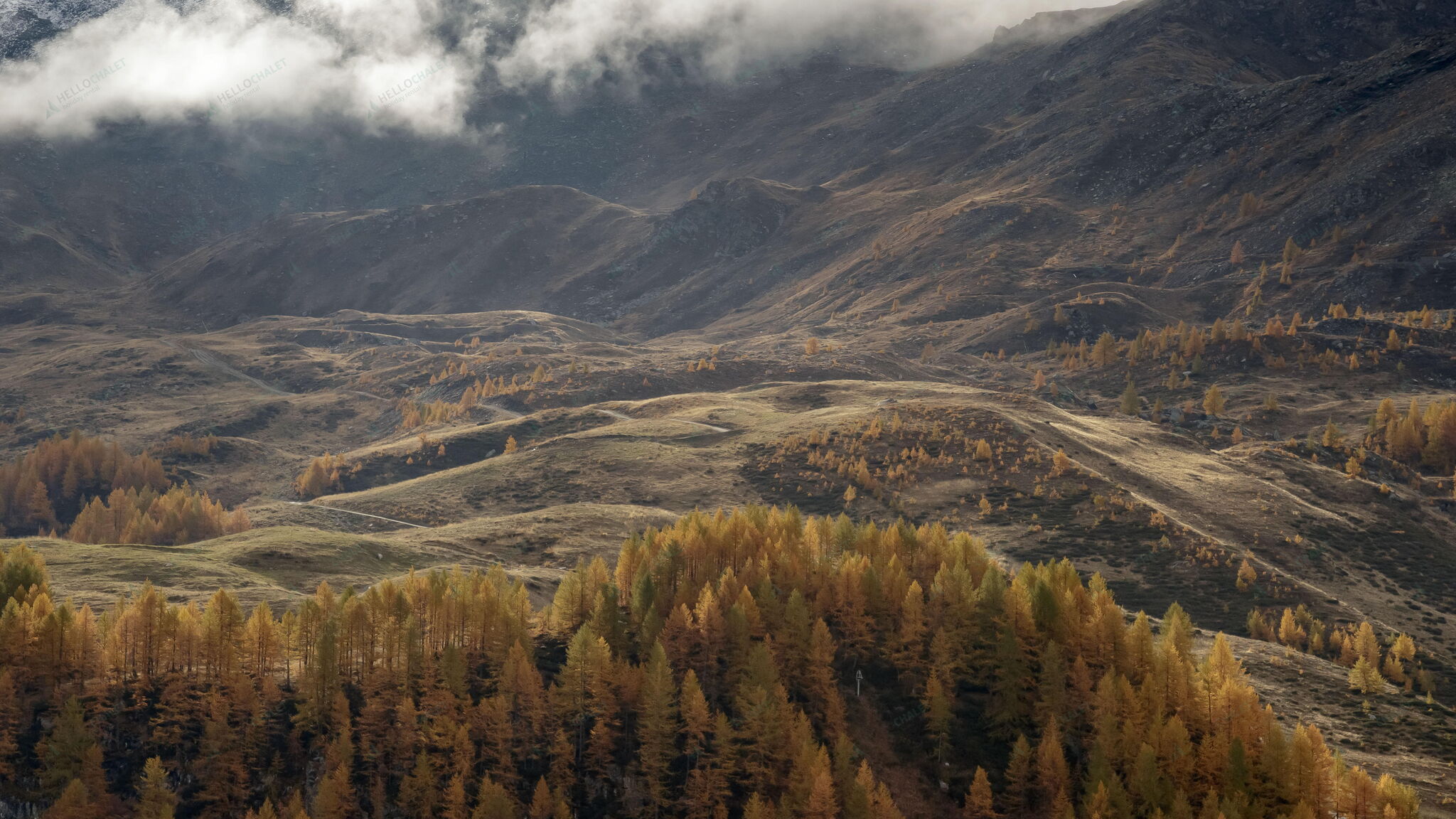 Italianway Valtournenche Maison Skis Aux Pieds – Ski-In/Ski-Out Retreat