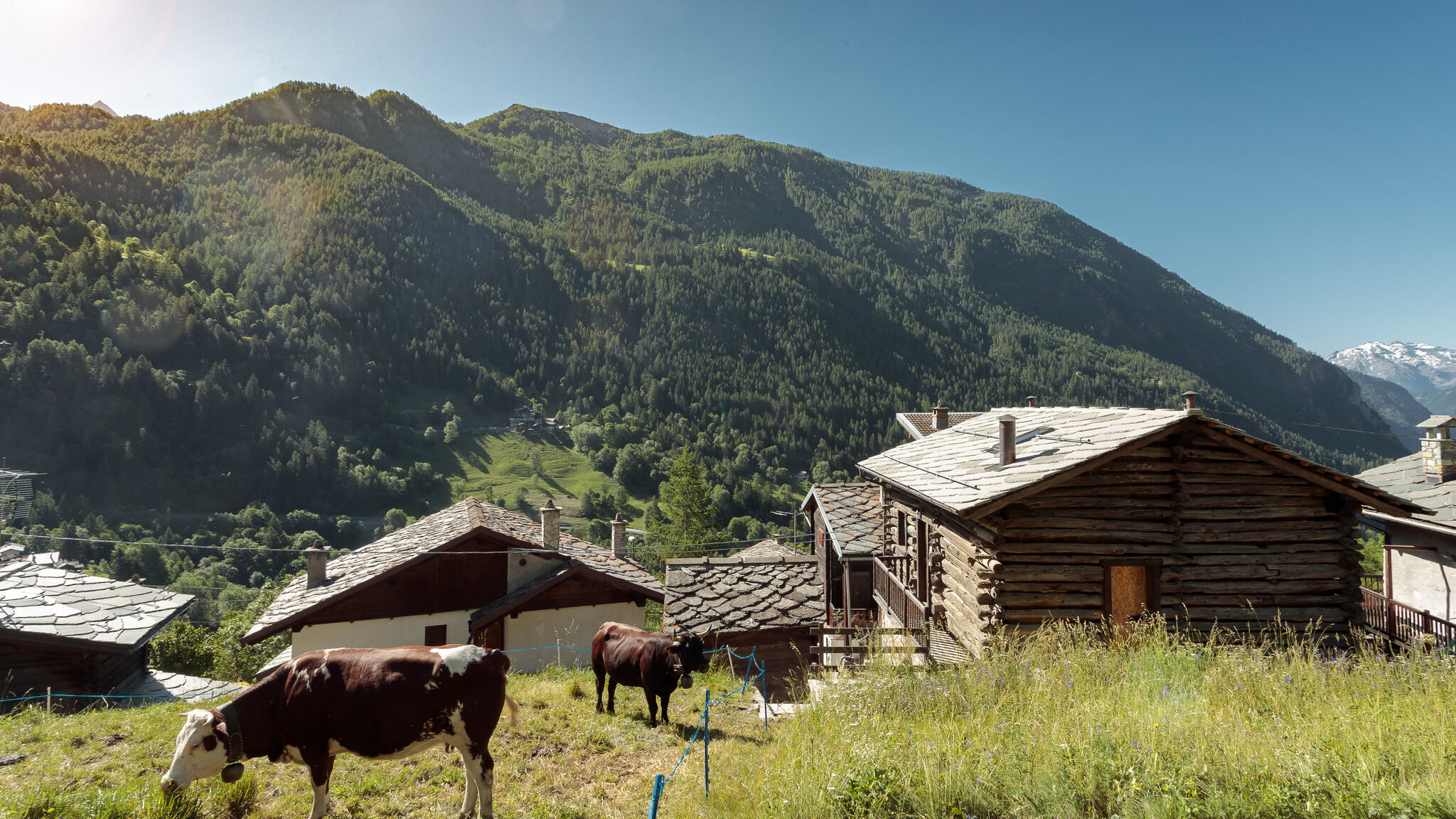 Italianway Valtournenche Chalet da MiRo - Authentic Rascard & Scenic View