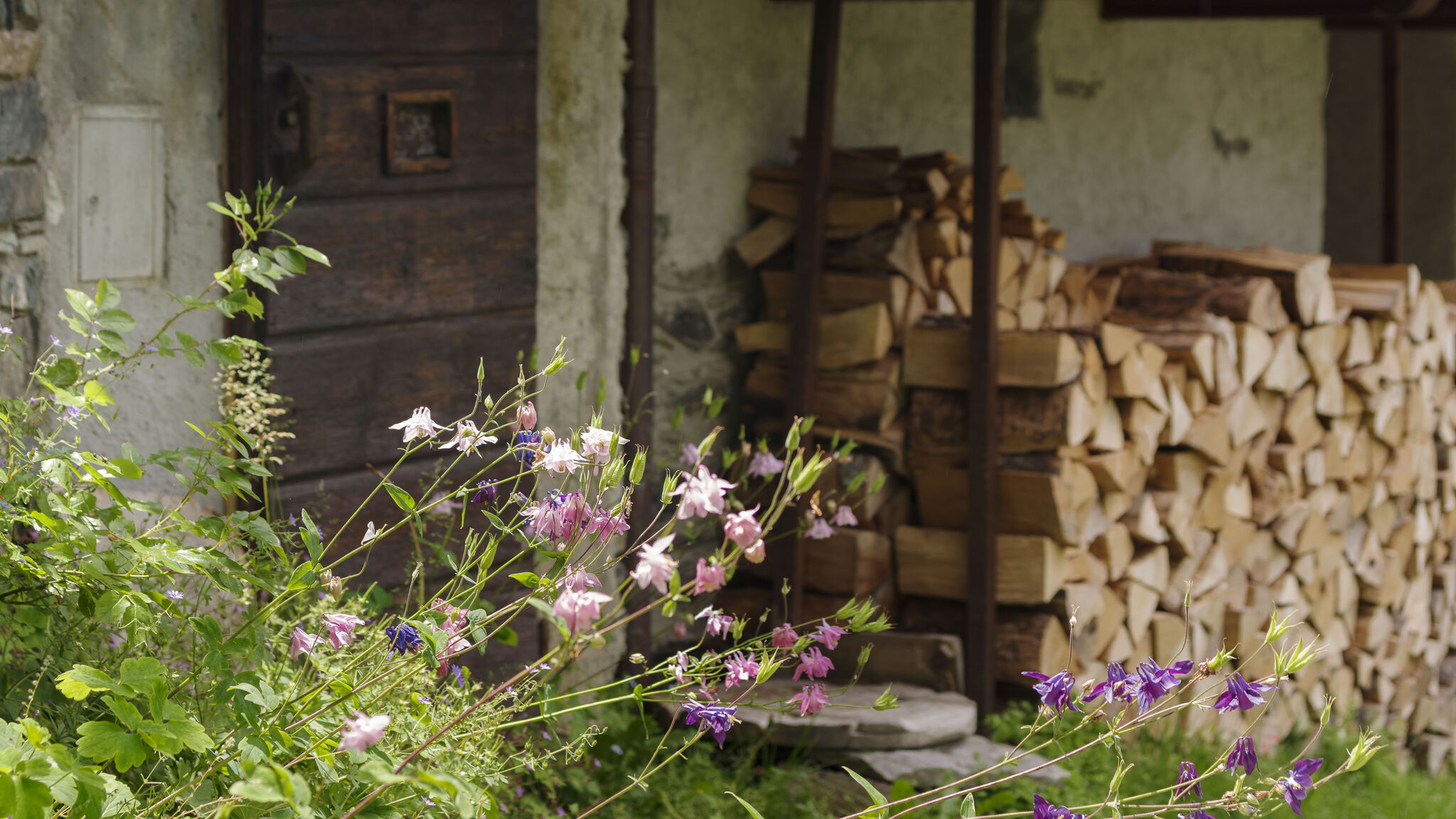 Italianway Valtournenche Chalet da MiRo - Authentic Rascard & Scenic View