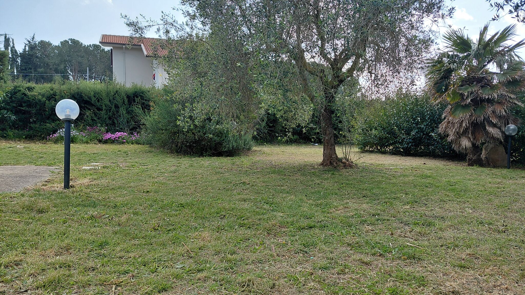 Italianway Olmedo La Rondinara