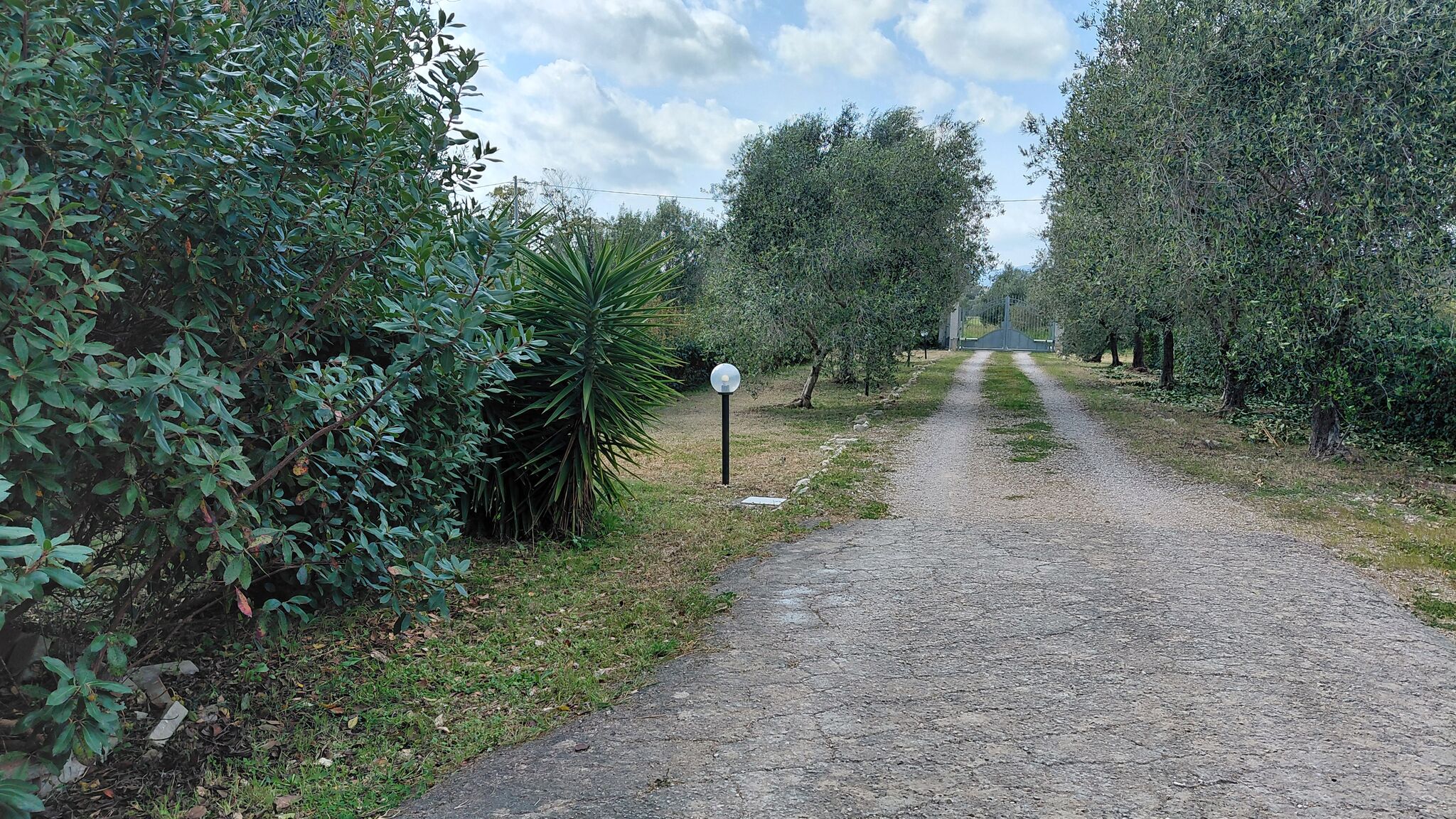 Italianway Olmedo La Rondinara