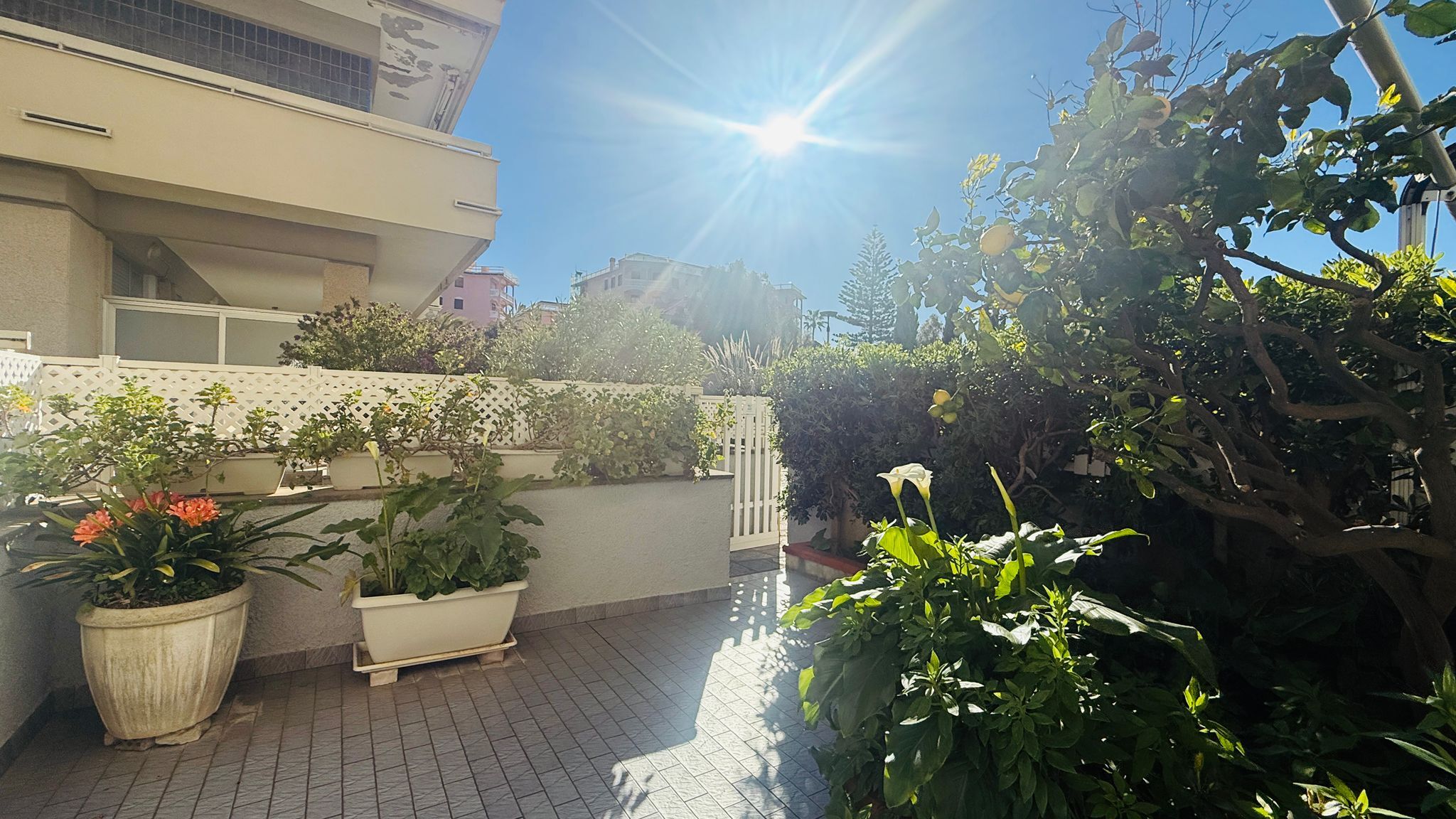 Italianway Andora Fronte Mare in Centro con terrazza privata