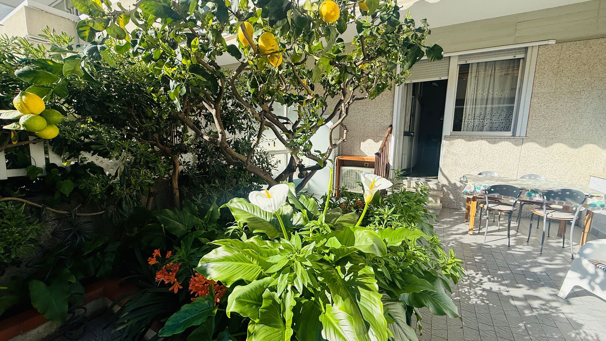 Italianway Andora Fronte Mare in Centro con terrazza privata