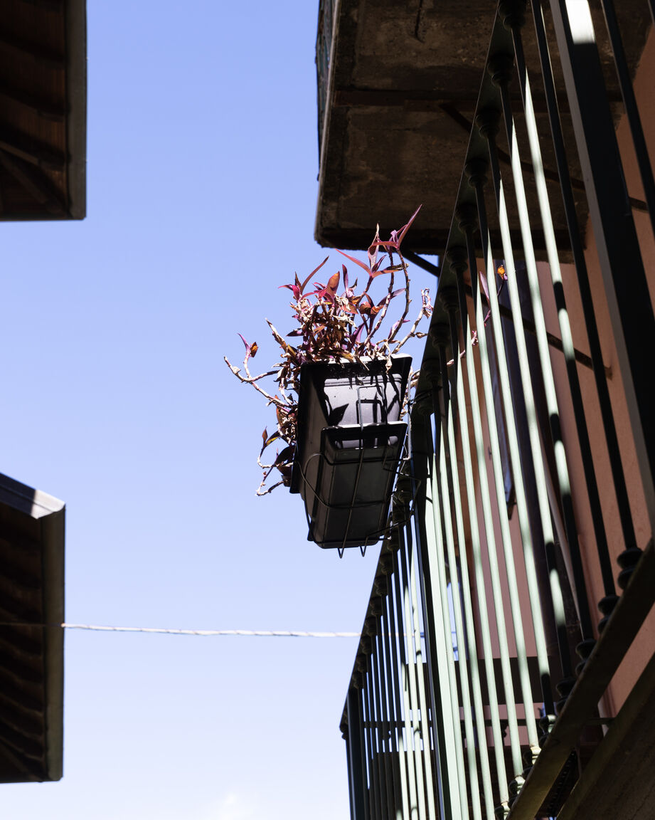 Italianway Varenna Casa Rosa - hidden Garden with lake view