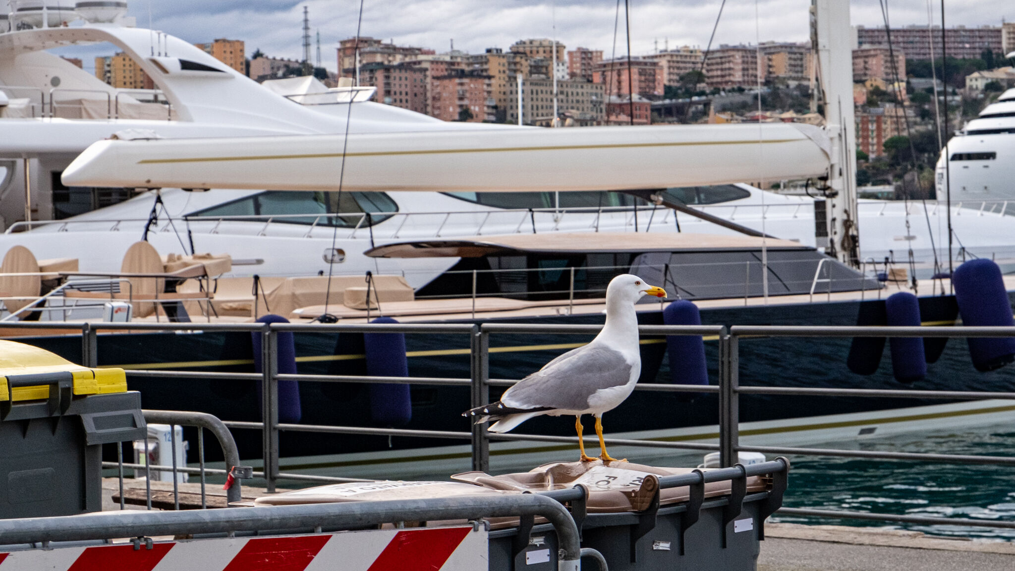 Italianway Genova [Acquario a 5 min] Jacuzzi e vista sui vicoli