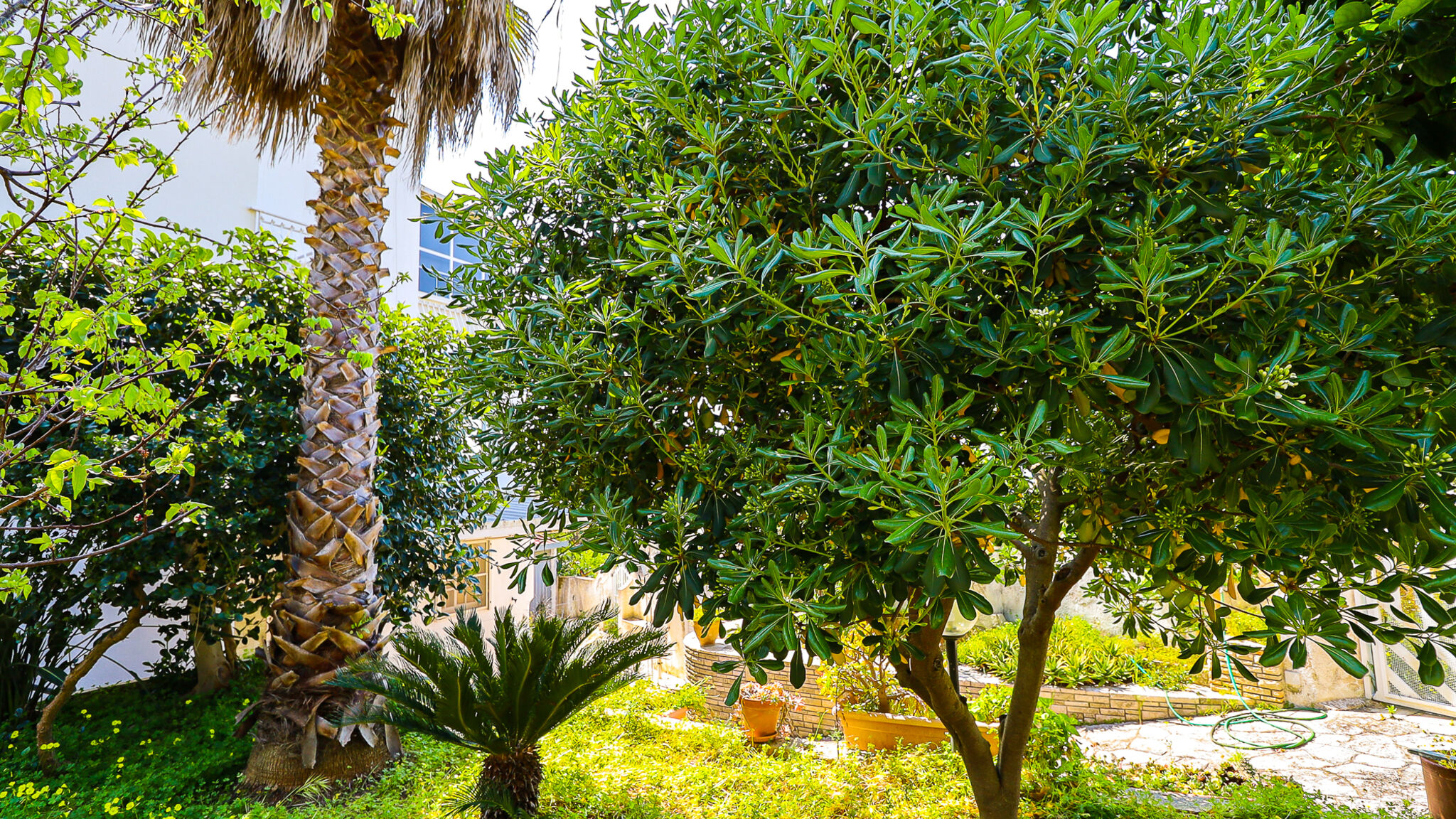 Italianway Sannicola Villa Marina By Casa di Marco