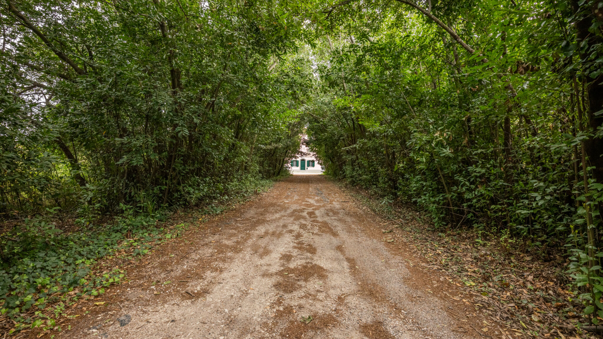 Italianway Livorno Villa Rosa | Exclusive Nature&Sea Retreat 