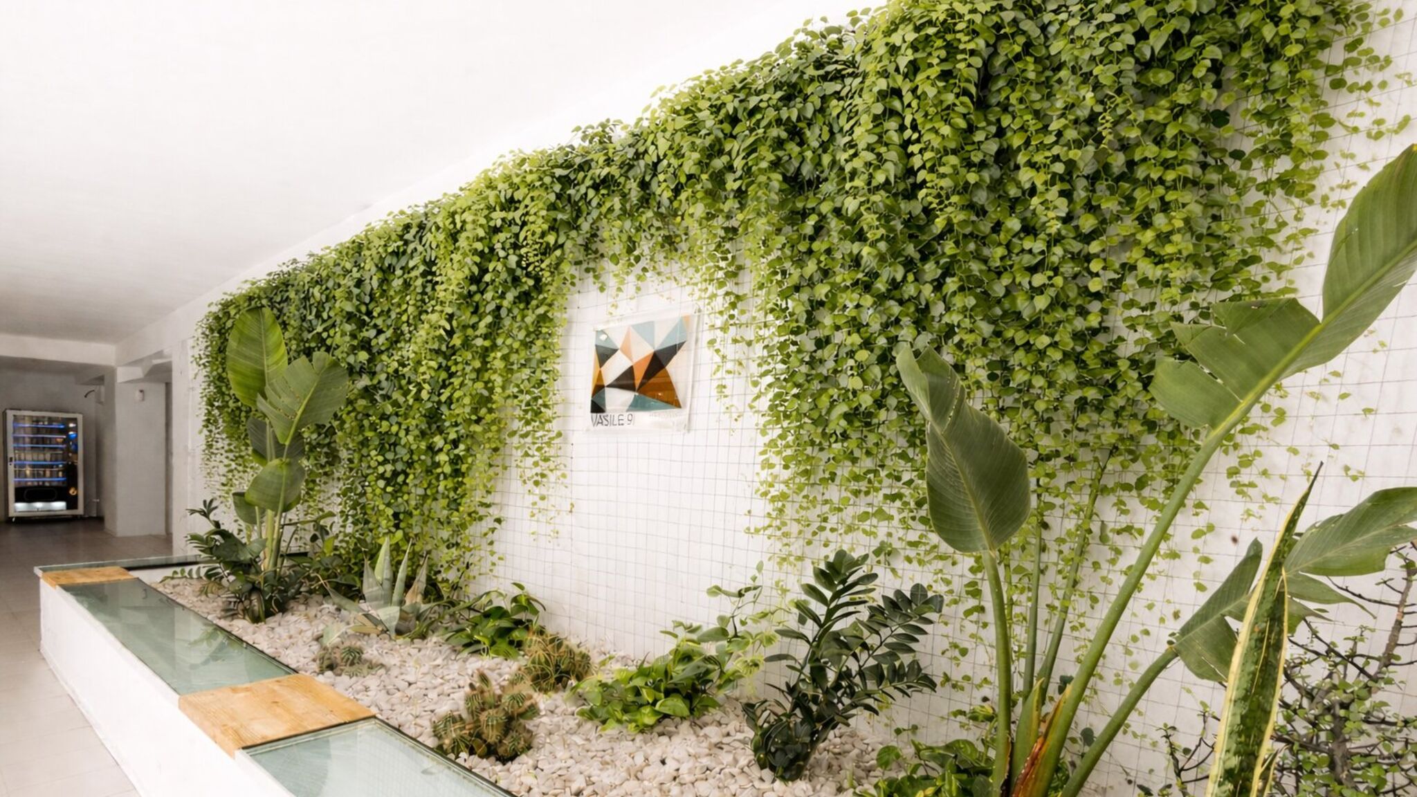 Visitsicilia Castellammare del Golfo Visitsicilia Vasile 9 - 5