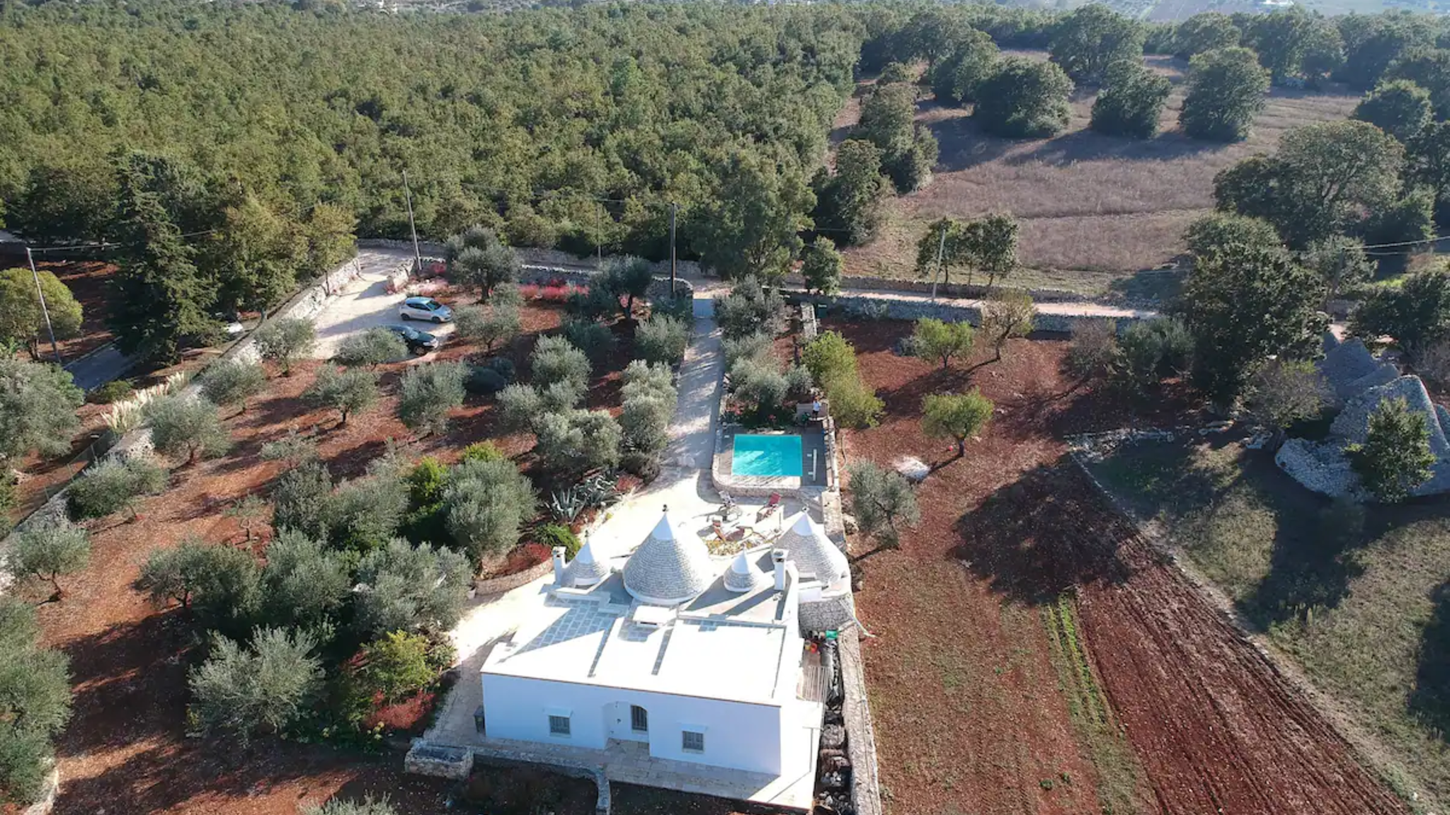 Italianway Locorotondo Trulli Itria Agave