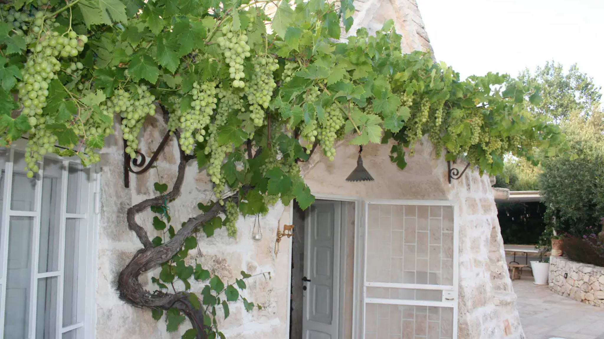 Italianway Locorotondo Trulli Itria Agave