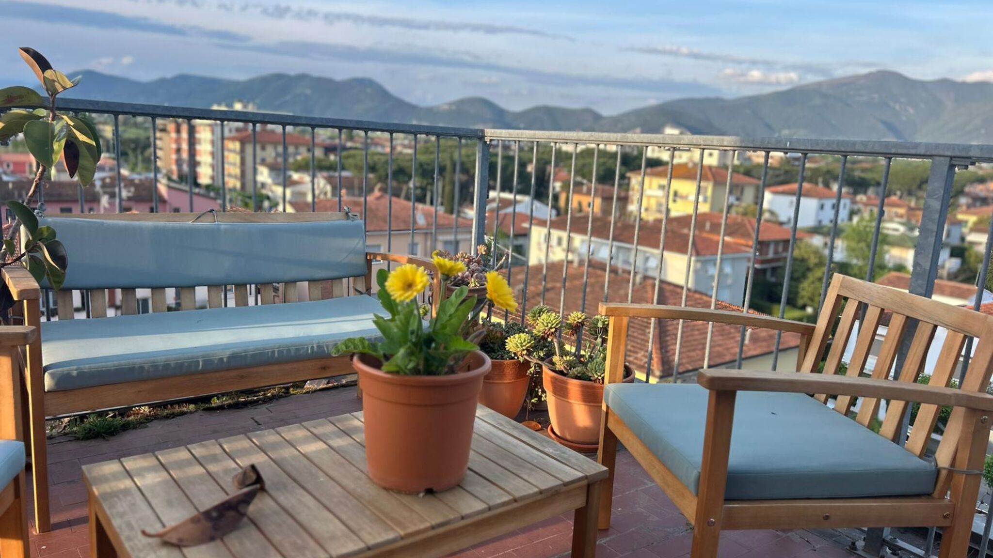 Italianway Pisa Moka Home