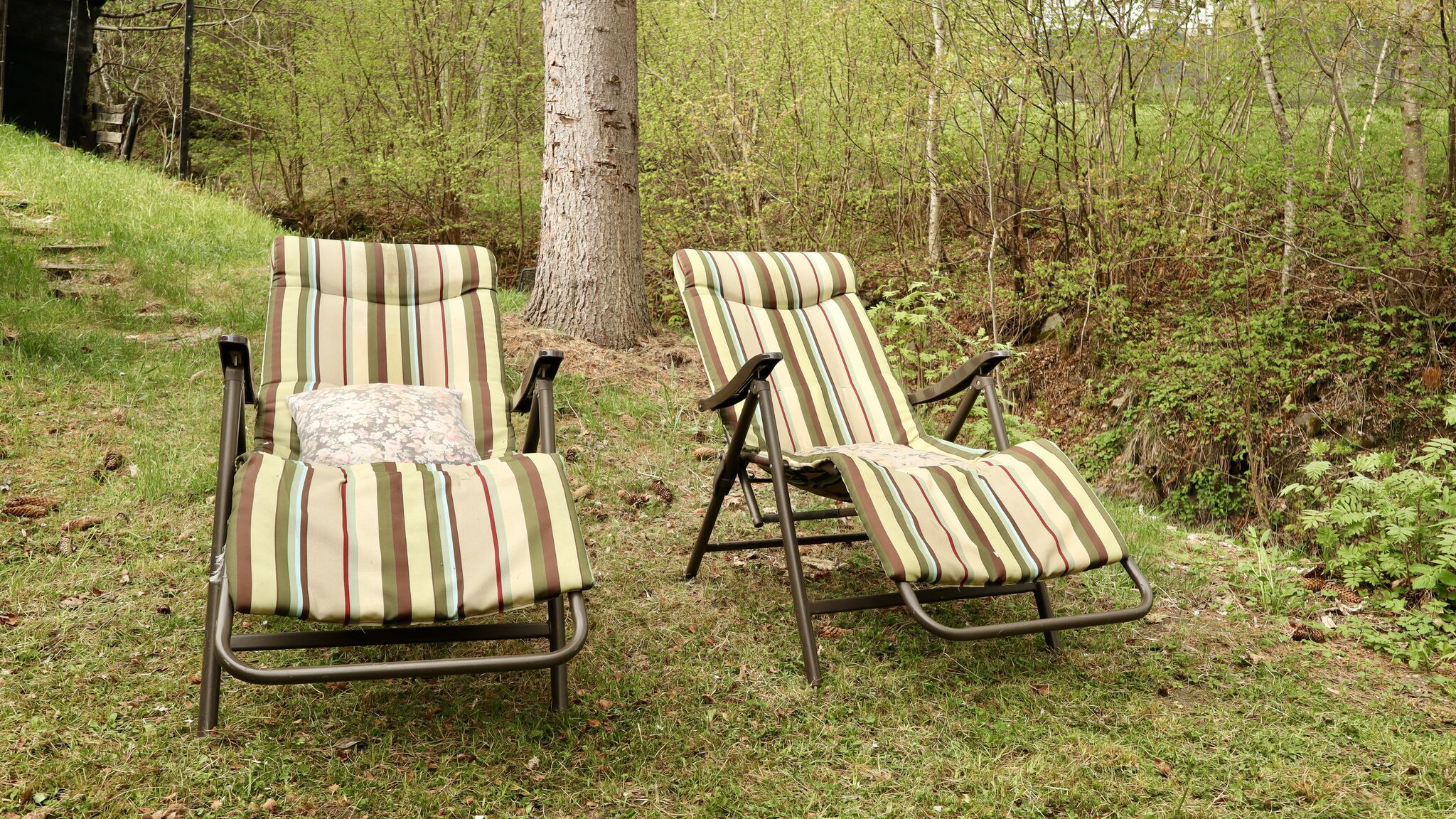 Italianway Ponte in Valtellina Baita Dai Nonni - La Vista Apartments