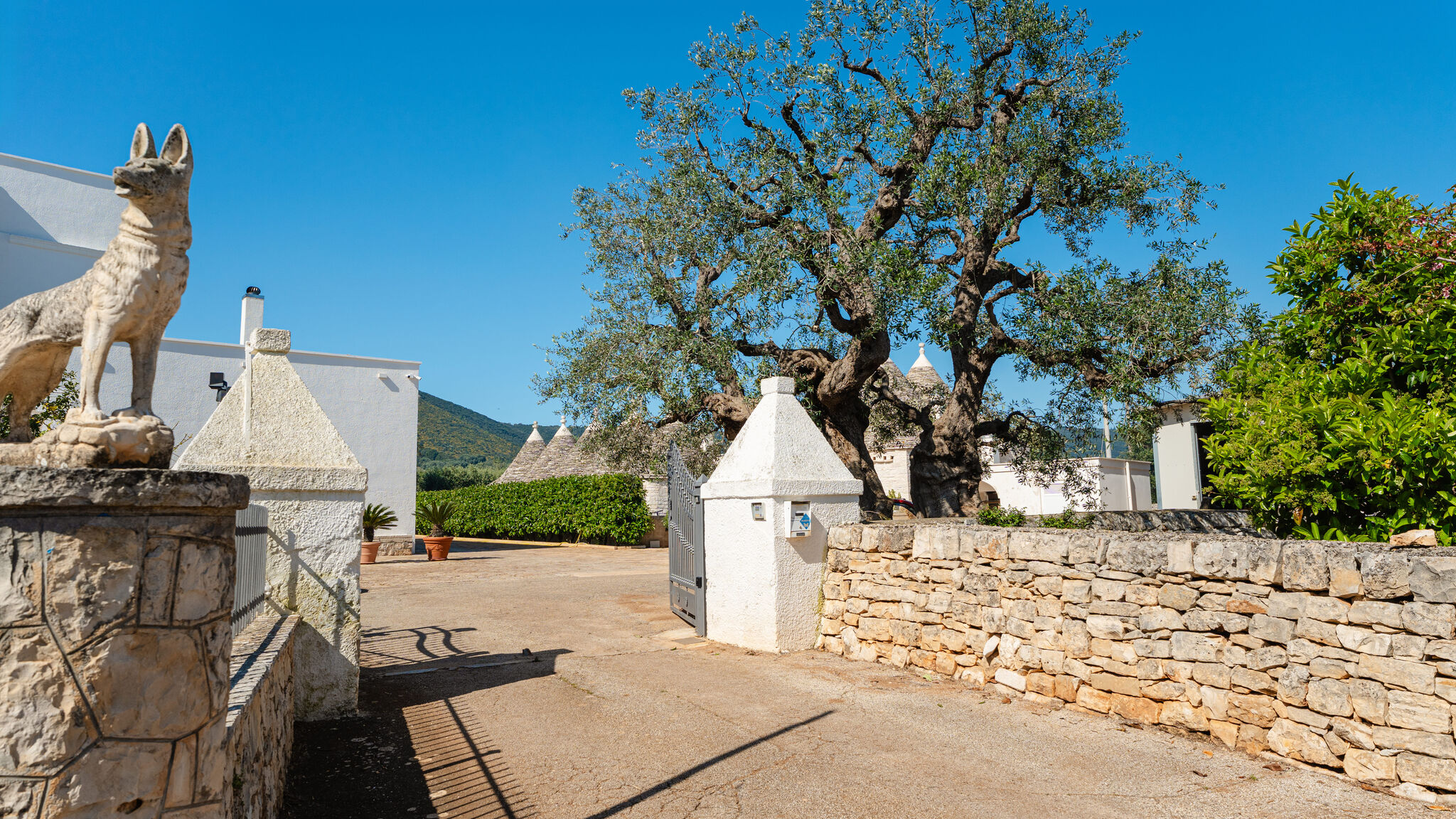 MONHOLIDAY - ospitalità e servizi per il turismo Monopoli Dimora Campanile Galleppa by Monholiday