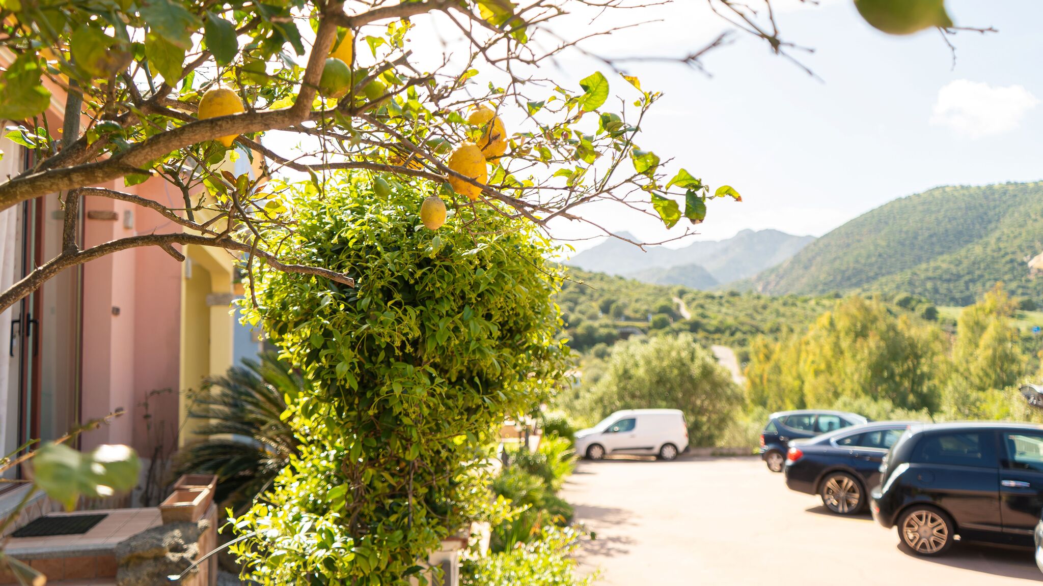 Italianway San Teodoro Home Lemon