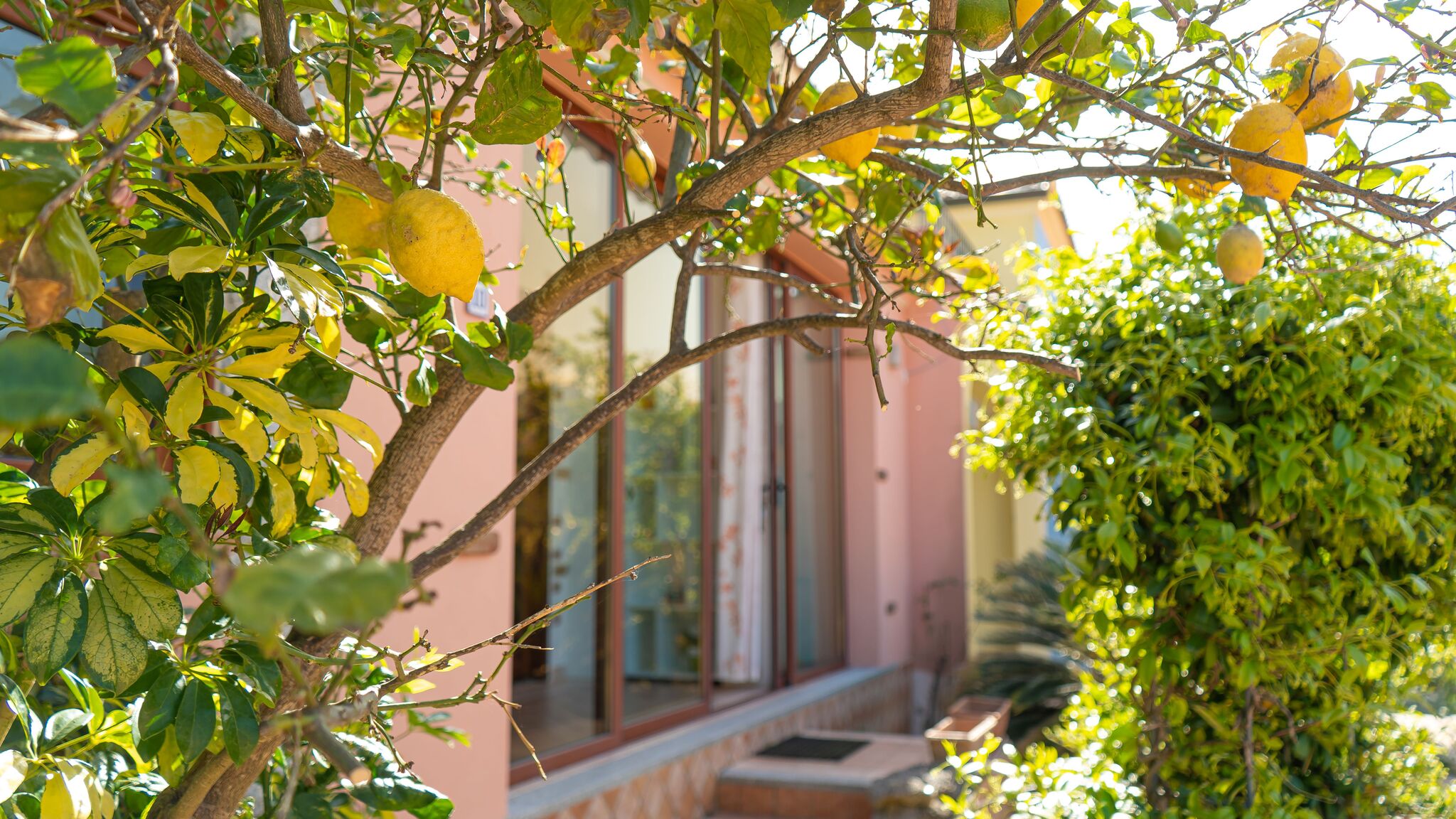 Italianway San Teodoro Home Lemon