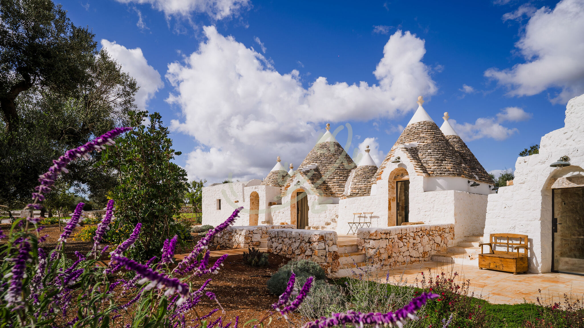 Italianway Ostuni TD Trullo YuMe Whispering Olive Grove