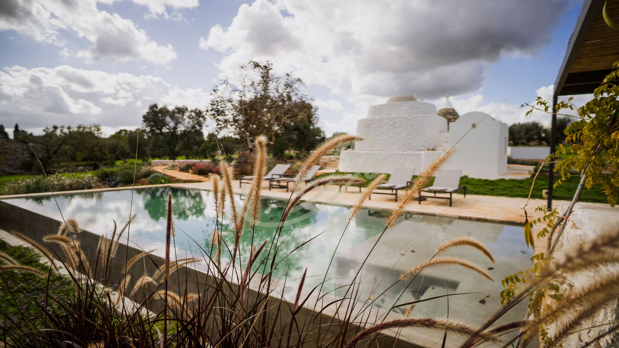 Italianway Ostuni TD Trullo YuMe Whispering Olive Grove
