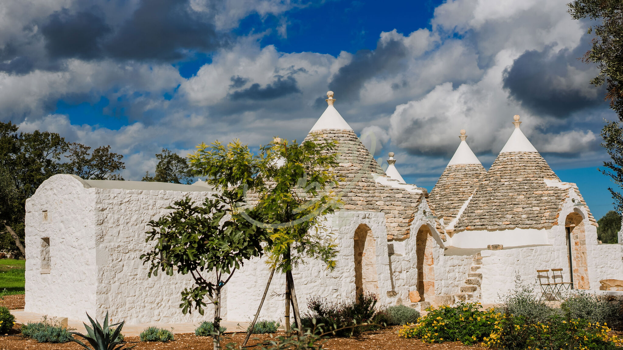 Italianway Ostuni TD Trullo YuMe Whispering Olive Grove
