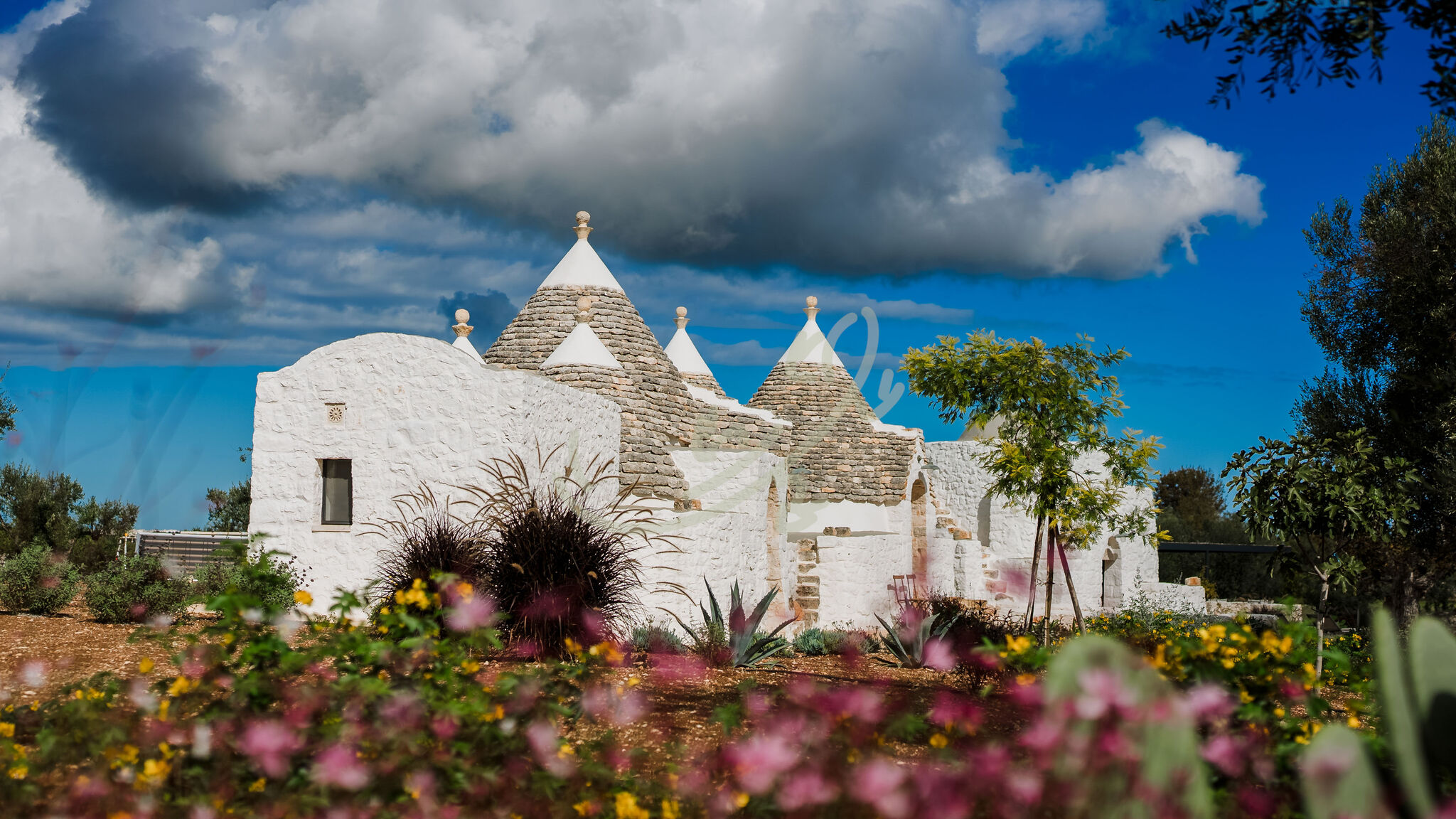 Italianway Ostuni TD Trullo YuMe Whispering Olive Grove