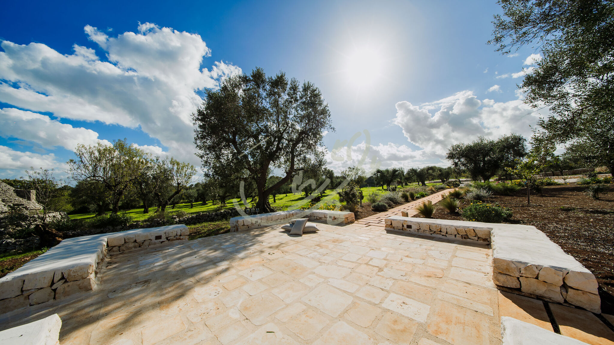 Italianway Ostuni TD Trullo YuMe Whispering Olive Grove
