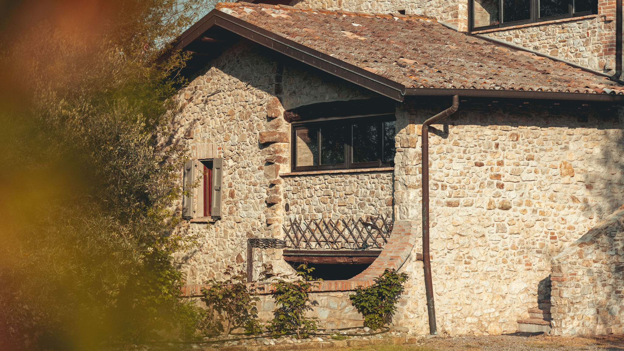 Elisa Marcheselli Guiglia Lavanda