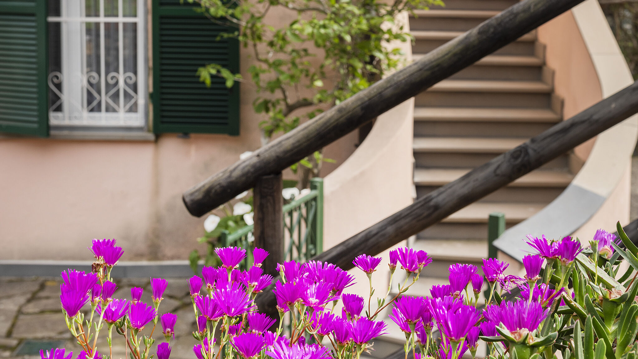 Italianway Varazze Caracas Home