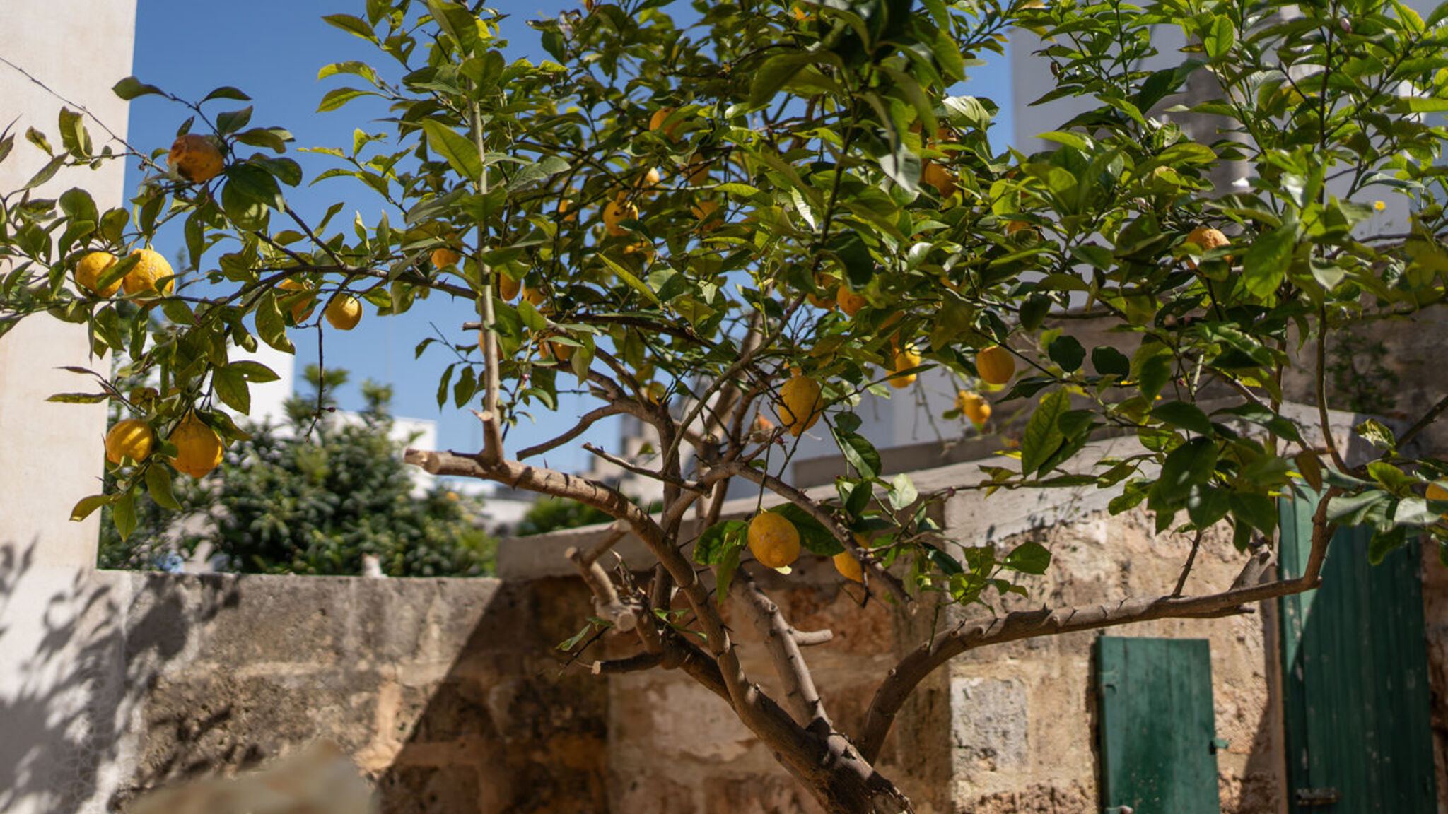 Italianway Alliste Dimora Storica Laura - Salento Reservation