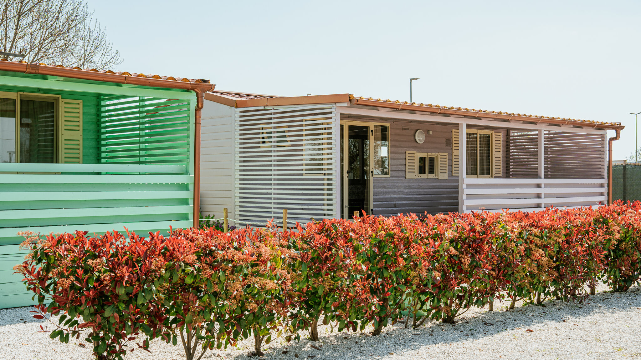 Italianway Ladispoli Gotha Beach Srl - Casetta Lavanda