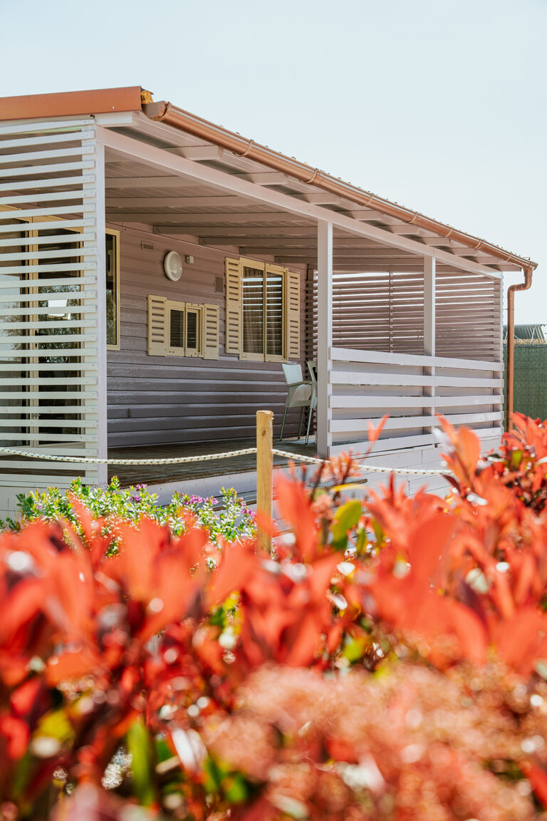 Italianway Ladispoli Gotha Beach Srl - Casetta Lavanda