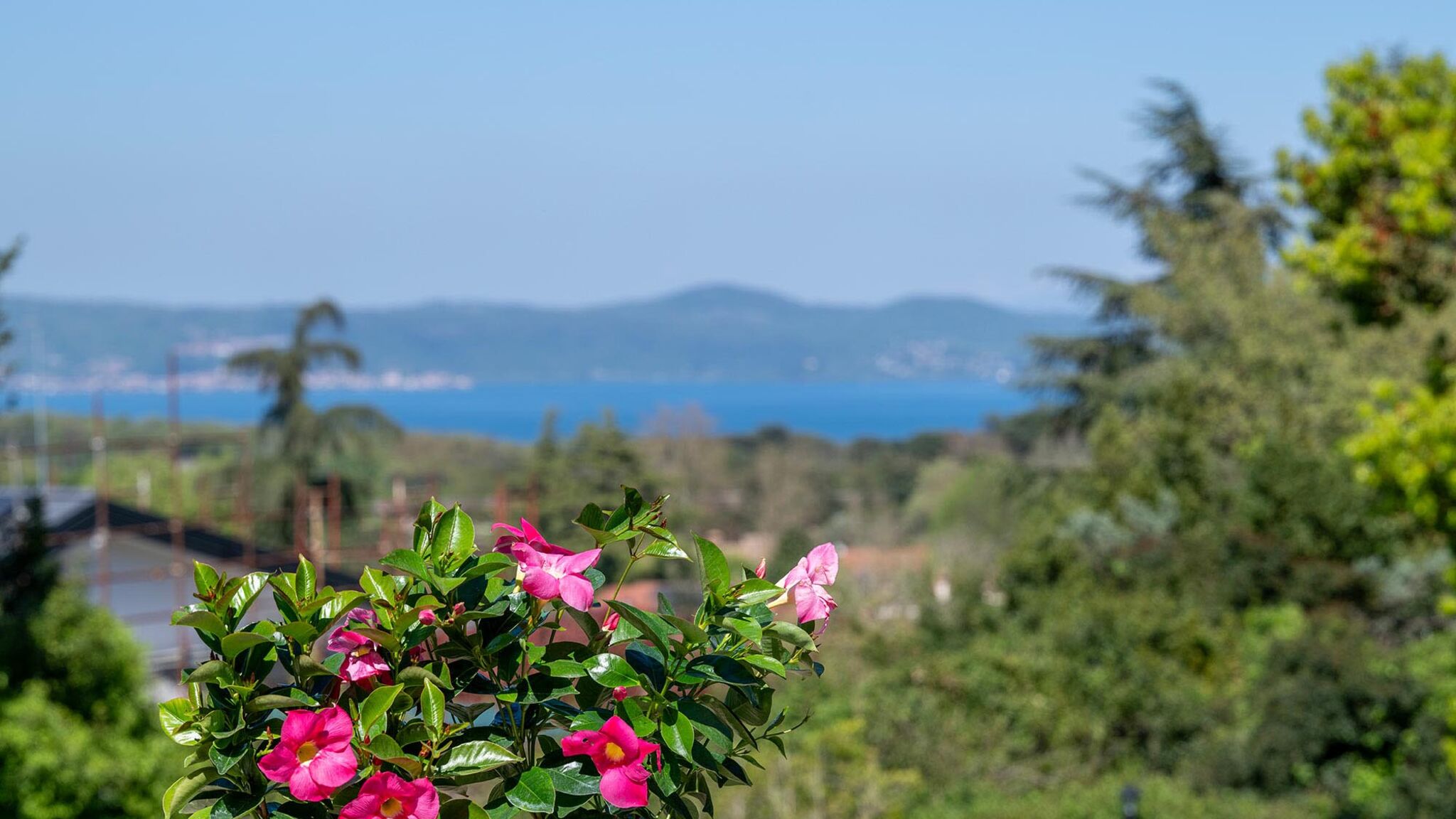 Italianway Bracciano Villa Corte Sant'Anna 6