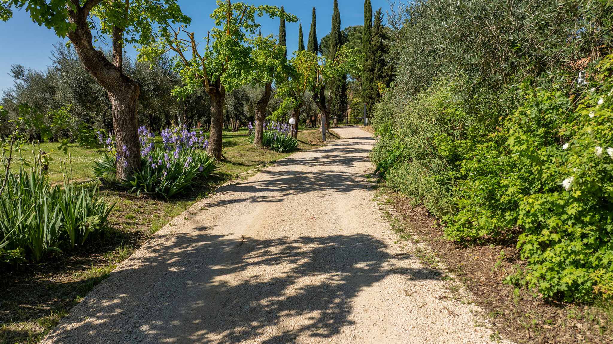 Italianway Montepulciano Sangiovese 14