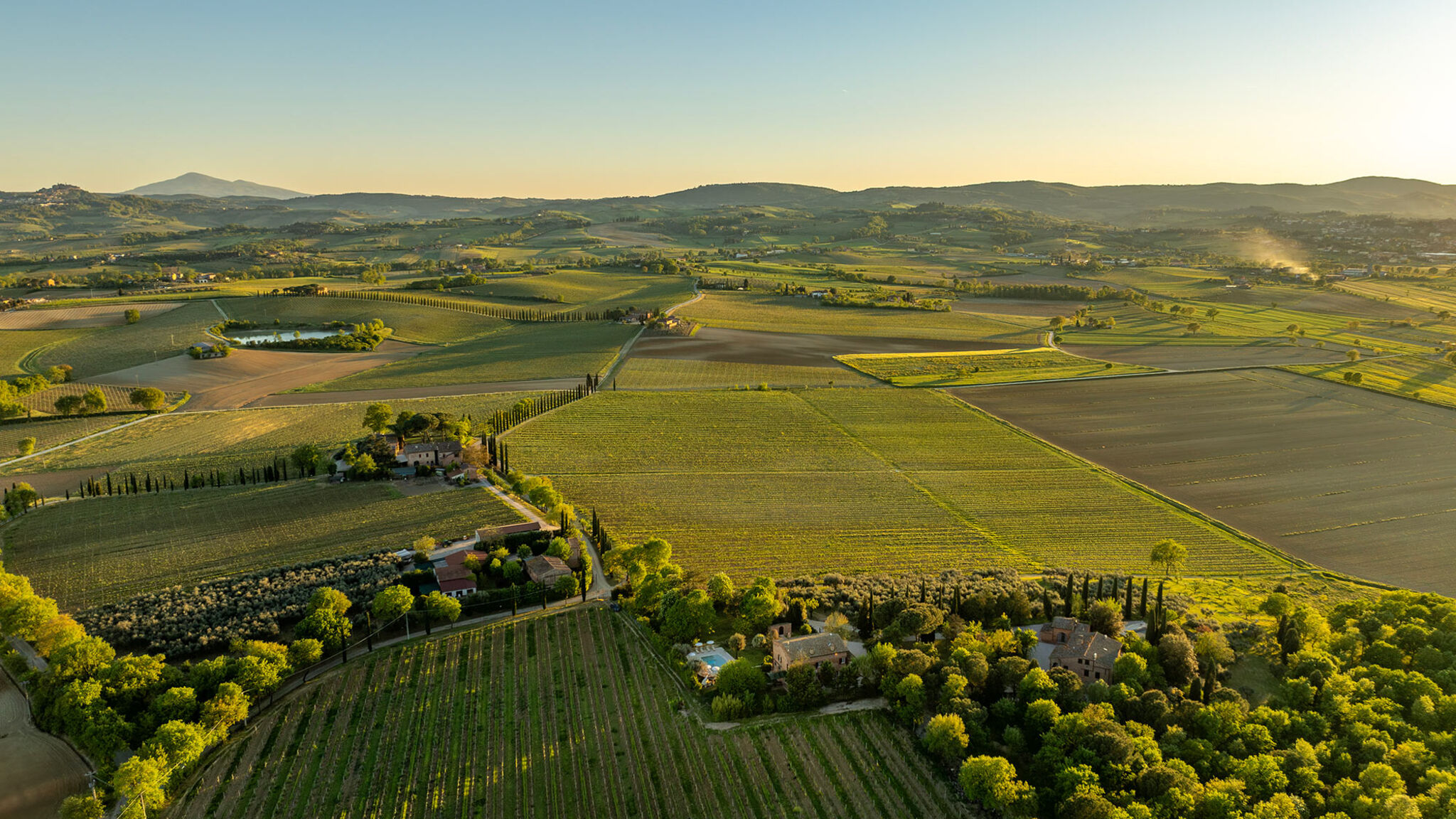 Italianway Montepulciano Sangiovese 14